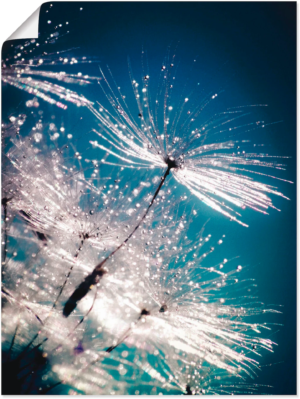 Artland Wandbild "Pusteblume Kristallschirmchen", Blumen, (1 St.), auf Keil günstig online kaufen