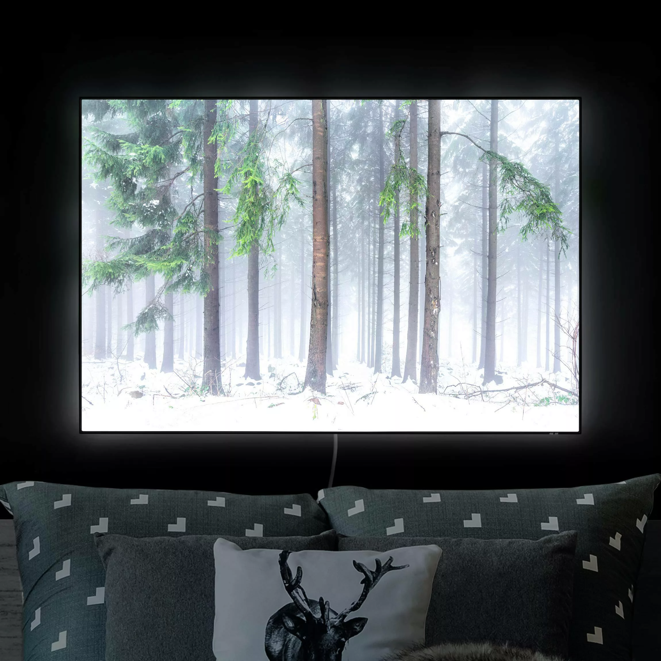 LED-Wechselbild Nadelbäume im Winter günstig online kaufen