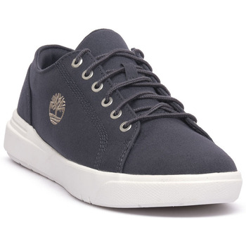 Timberland  Sneaker SENECA BAY günstig online kaufen