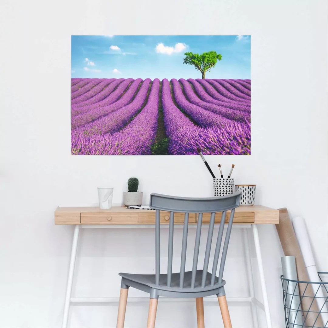 Reinders Poster "Lavendel Felder", (1 St.) günstig online kaufen