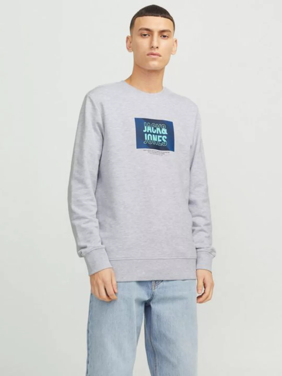 Jack & Jones Sweatshirt JJHUDSON SWEAT CREW NECK günstig online kaufen