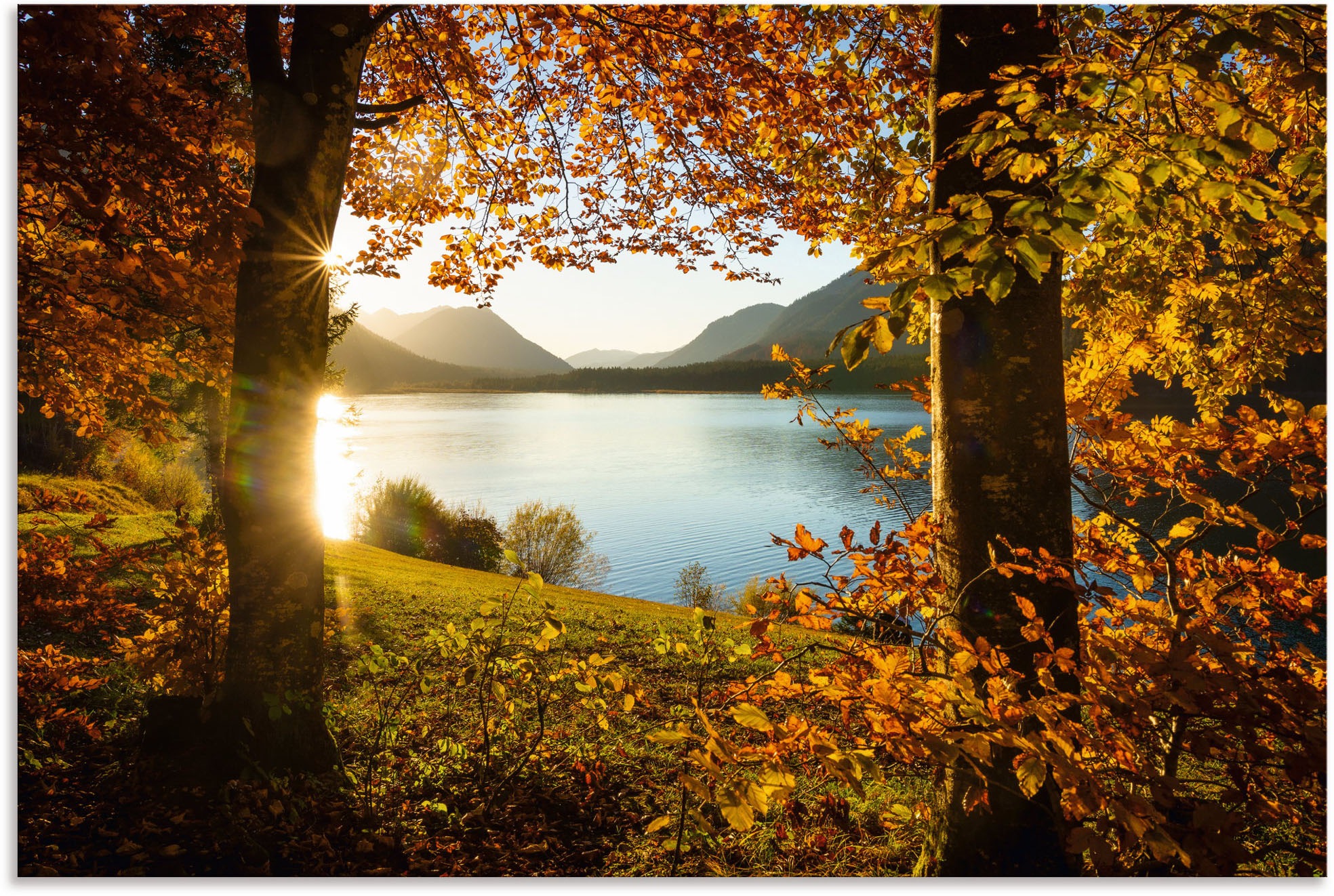 Artland Wandbild »Herbst am Sylvensteinsee«, Gewässer, (1 St.), als Alubild günstig online kaufen