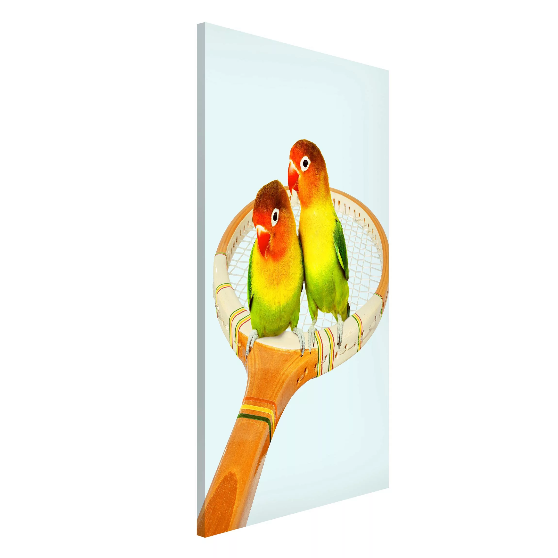 Magnettafel Tiere - Hochformat 3:4 Tennis mit Vögeln günstig online kaufen
