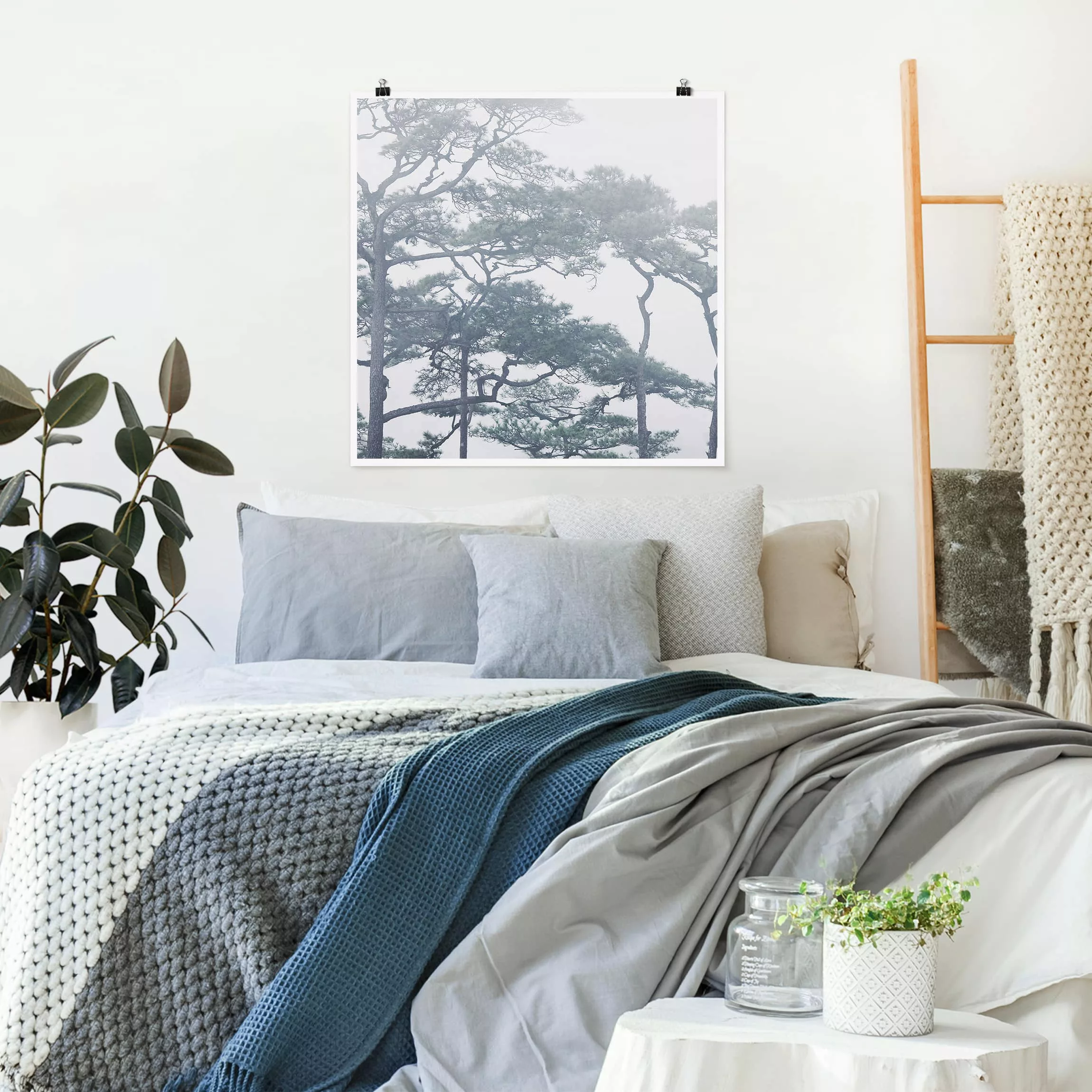 Poster Natur & Landschaft - Quadrat Baumkronen im Nebel günstig online kaufen