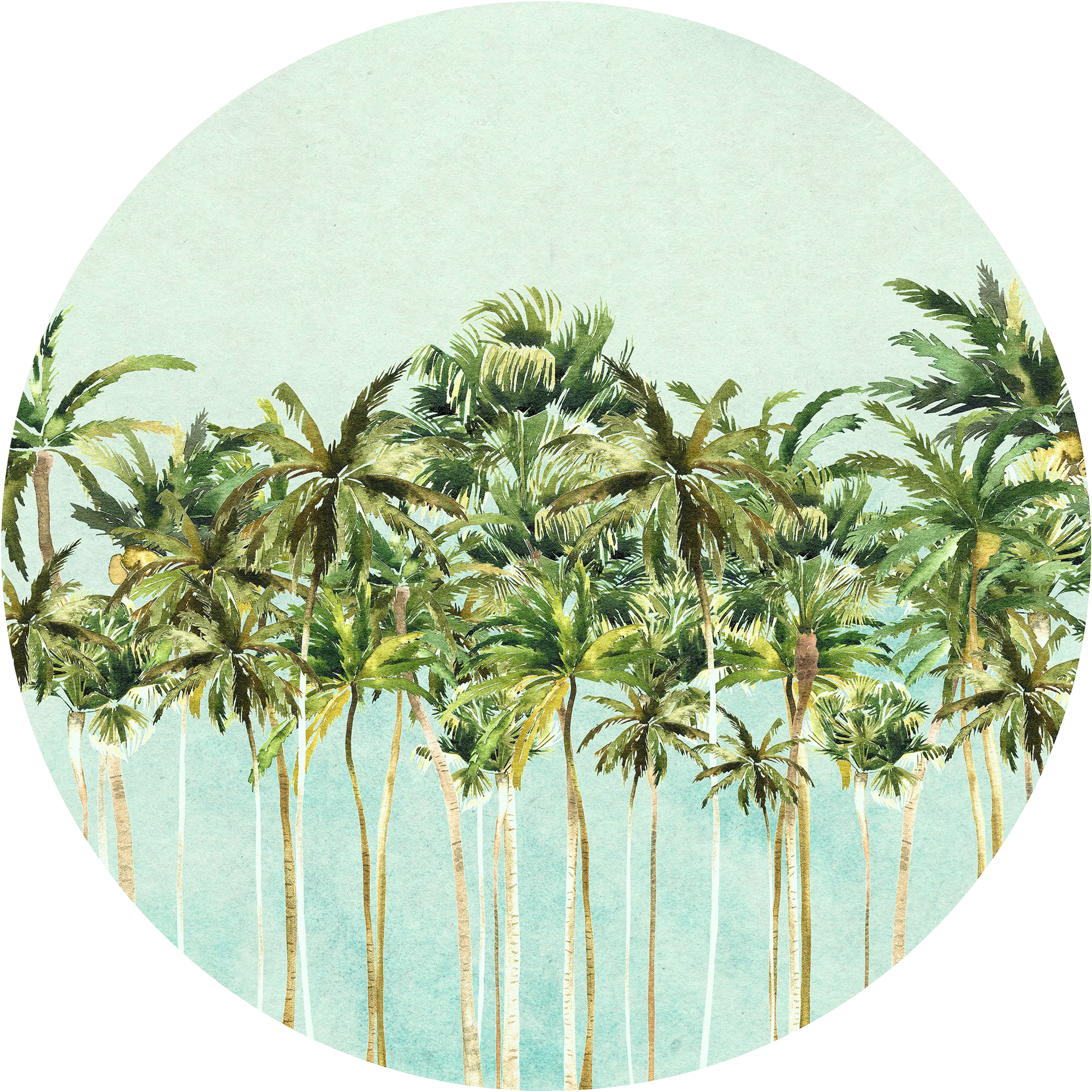 Komar Fototapete Coconut Trees D: ca. 125 cm günstig online kaufen