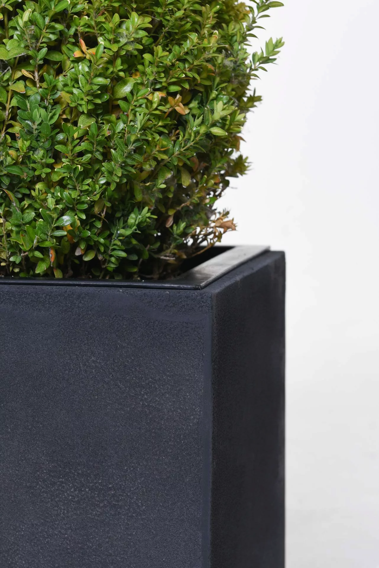 VIVANNO Pflanzkübel Fiberglas MAXI Kasten - günstig online kaufen