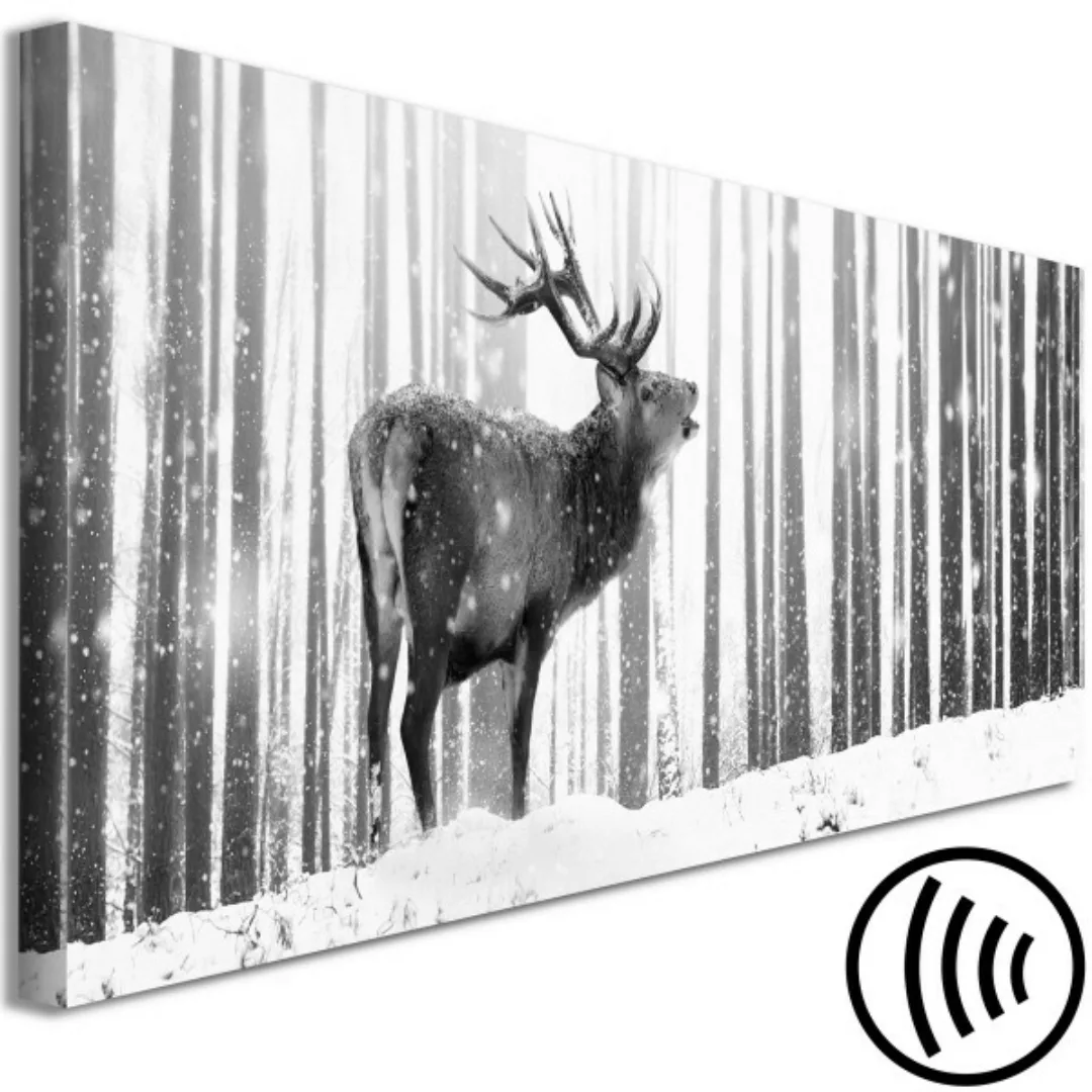 Wandbild Noble Deer (1 Part) Narrow XXL günstig online kaufen
