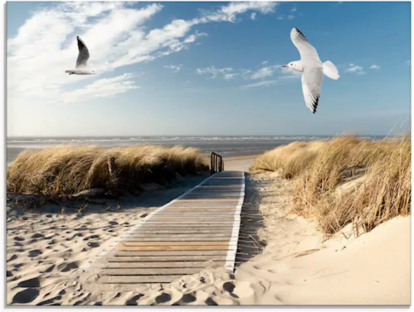Artland Glasbild "Nordseestrand auf Langeoog mit Möwen", Strand, (1 St.) günstig online kaufen