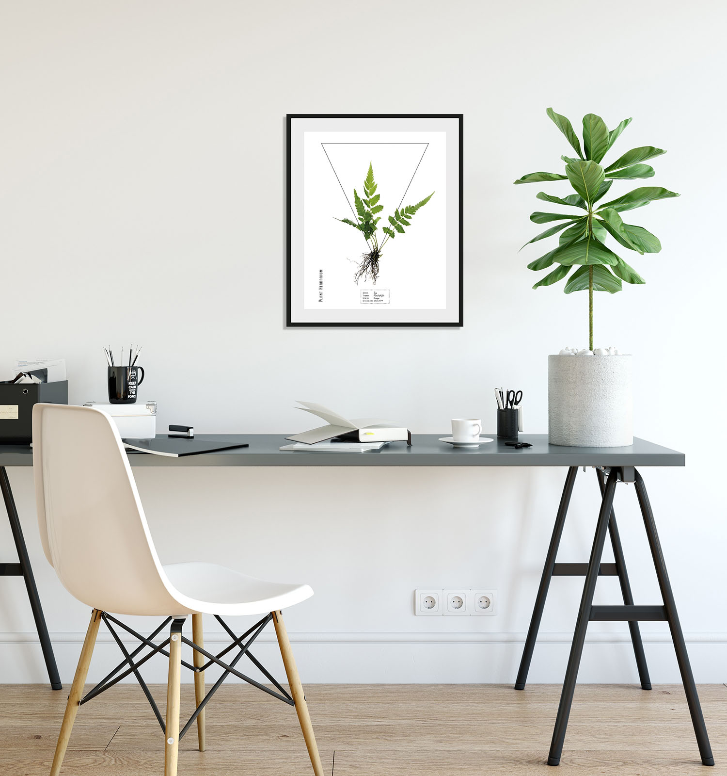 queence Bild »Pteridophyta«, Pflanzen-Pflanzenbilder-Schriftzug, (1 St.), H günstig online kaufen
