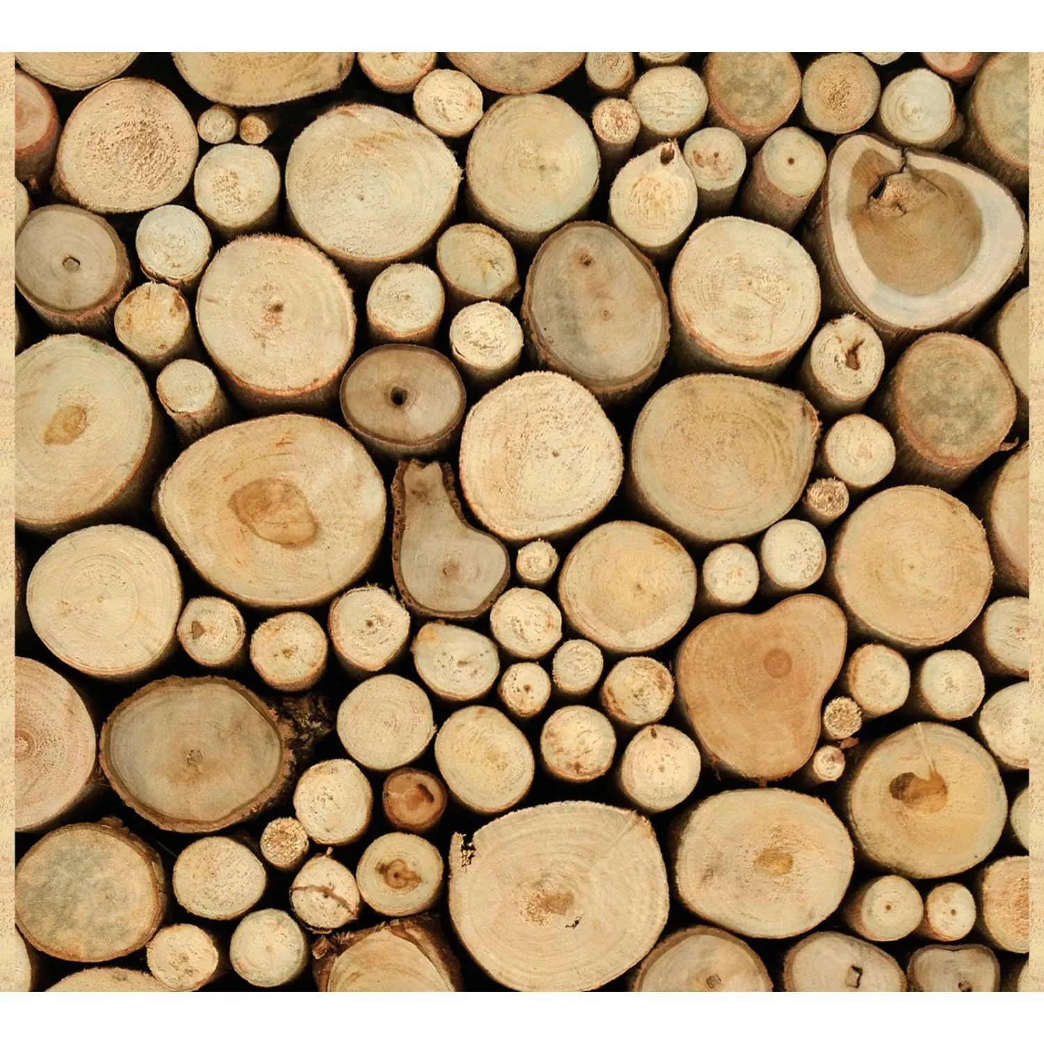 Bricoflor Baumstamm Tapete Selbstklebend Holz Tapeten Panel Ideal für Wohnz günstig online kaufen