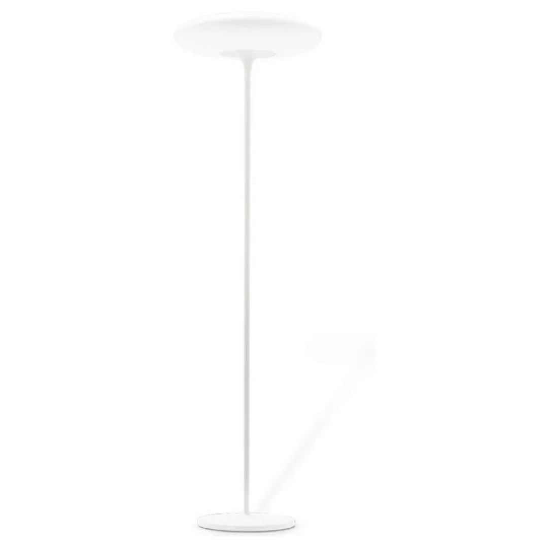 Moderne LED-Stehlampe Squash günstig online kaufen