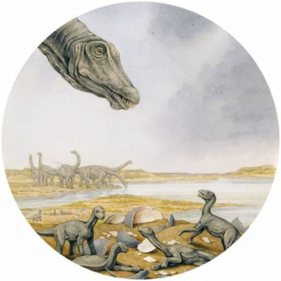 KOMAR Selbstklebende Vlies Fototapete/Wandtattoo - Young Titanosaurs - Größ günstig online kaufen