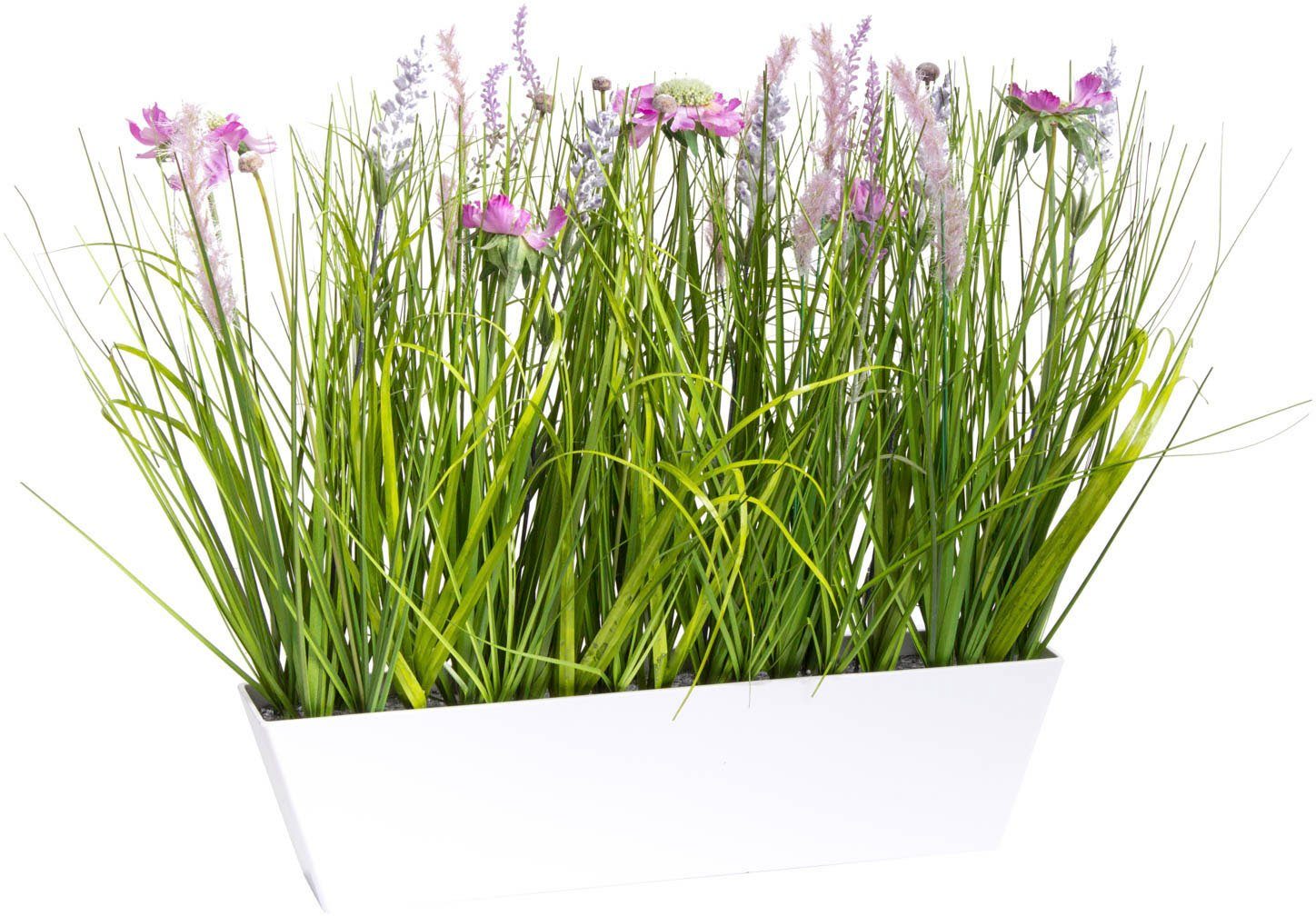 Kunstblume Wiesenblumen im Kunststofftopf Gras, Botanic-Haus, günstig online kaufen