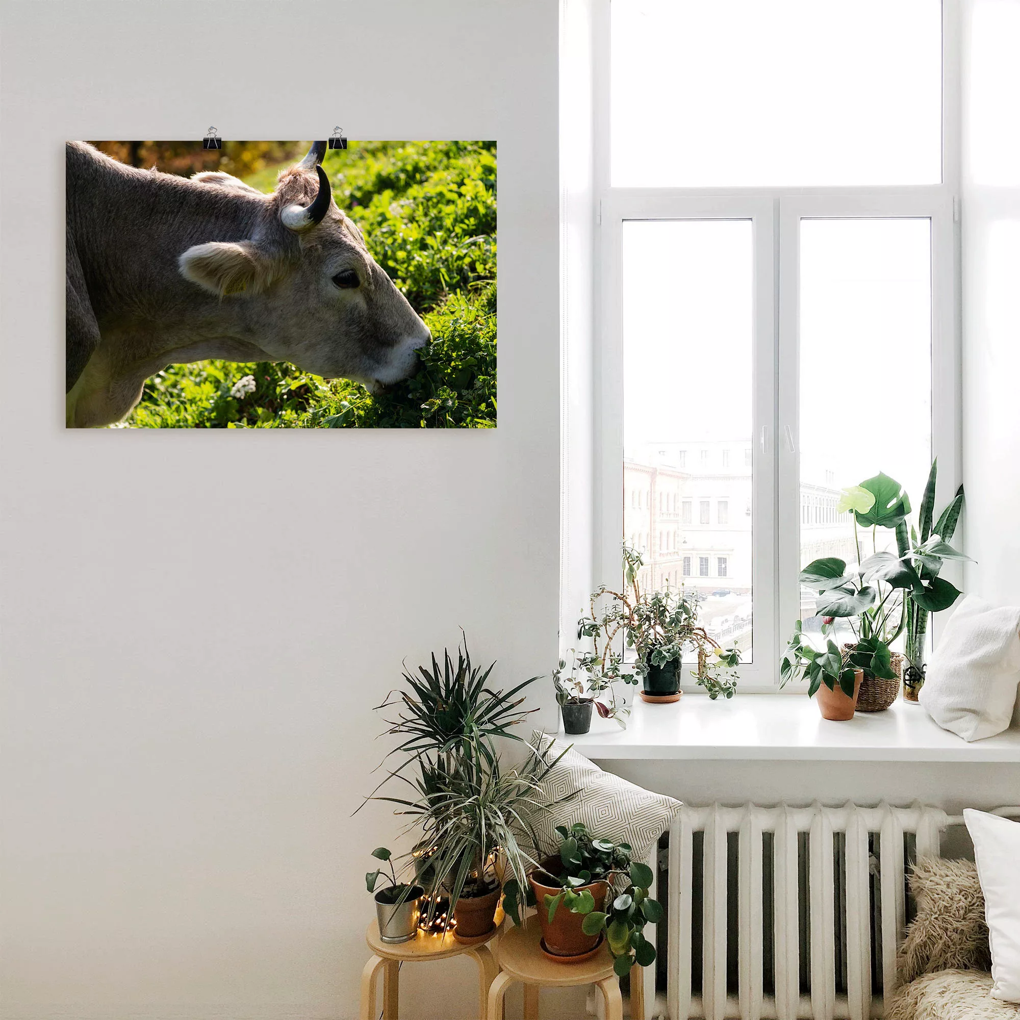Artland Poster "Eine glückliche Südtiroler Kuh", Kuhbilder, (1 St.), als Al günstig online kaufen