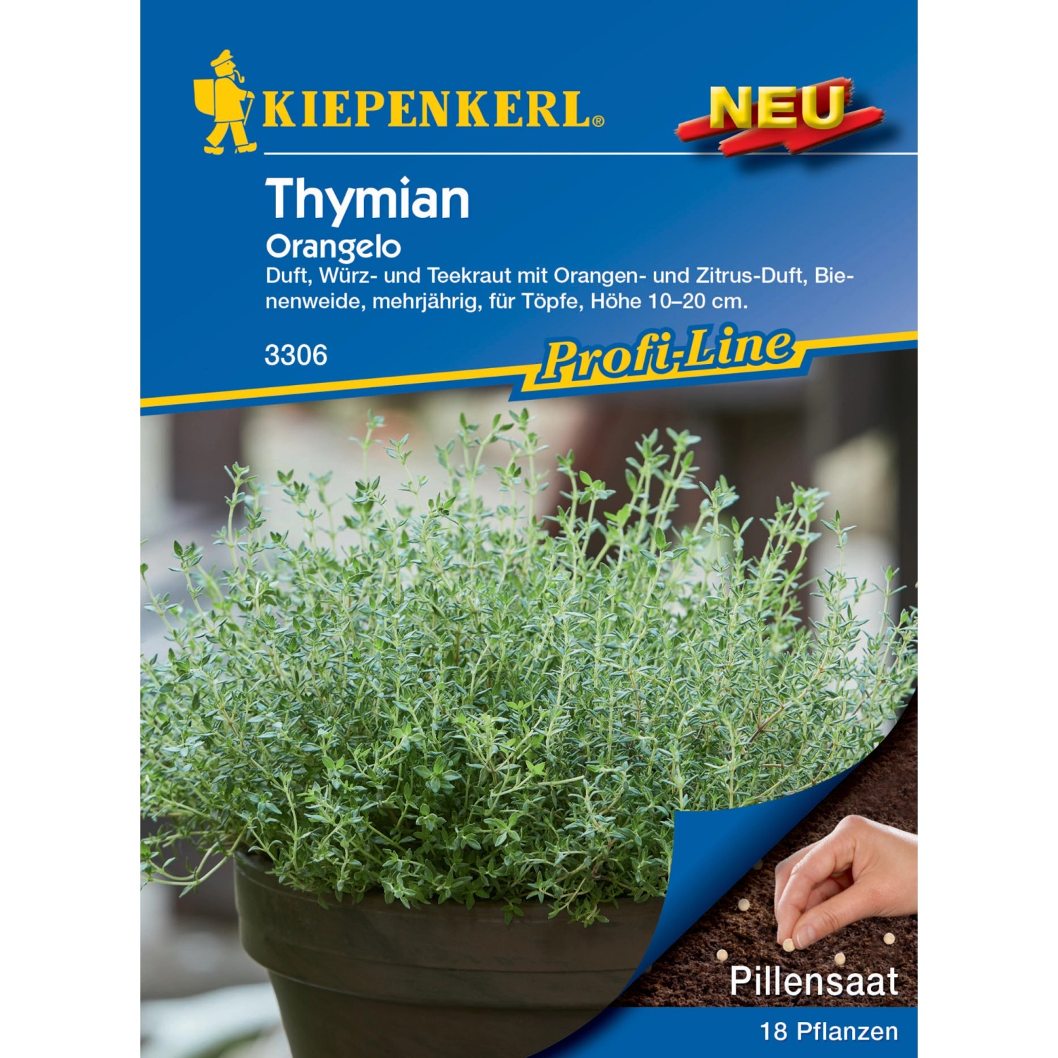 Kiepenkerl Profi-Line Thymian Orangelo Pillensaat günstig online kaufen