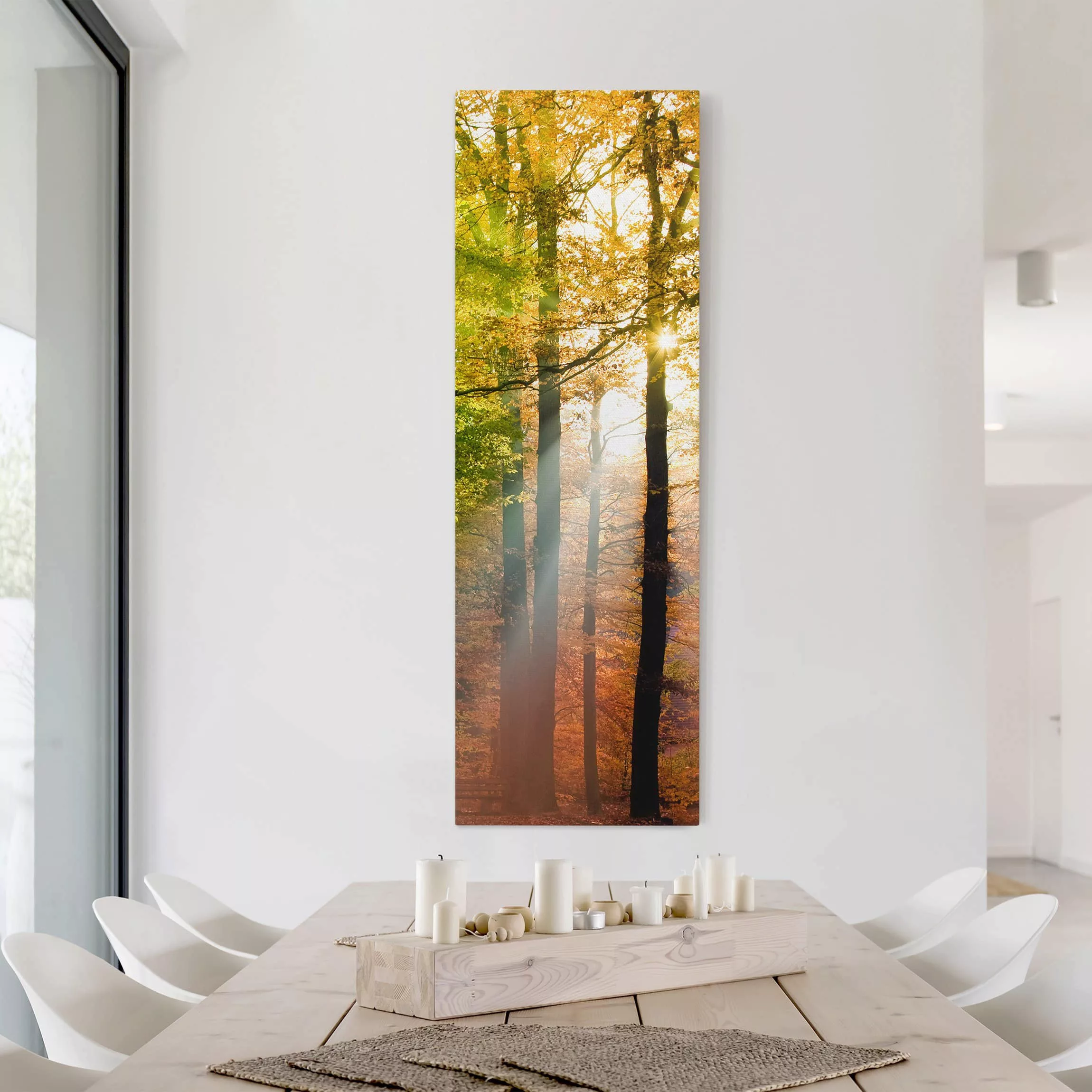 Leinwandbild Wald - Hochformat Morning Light günstig online kaufen