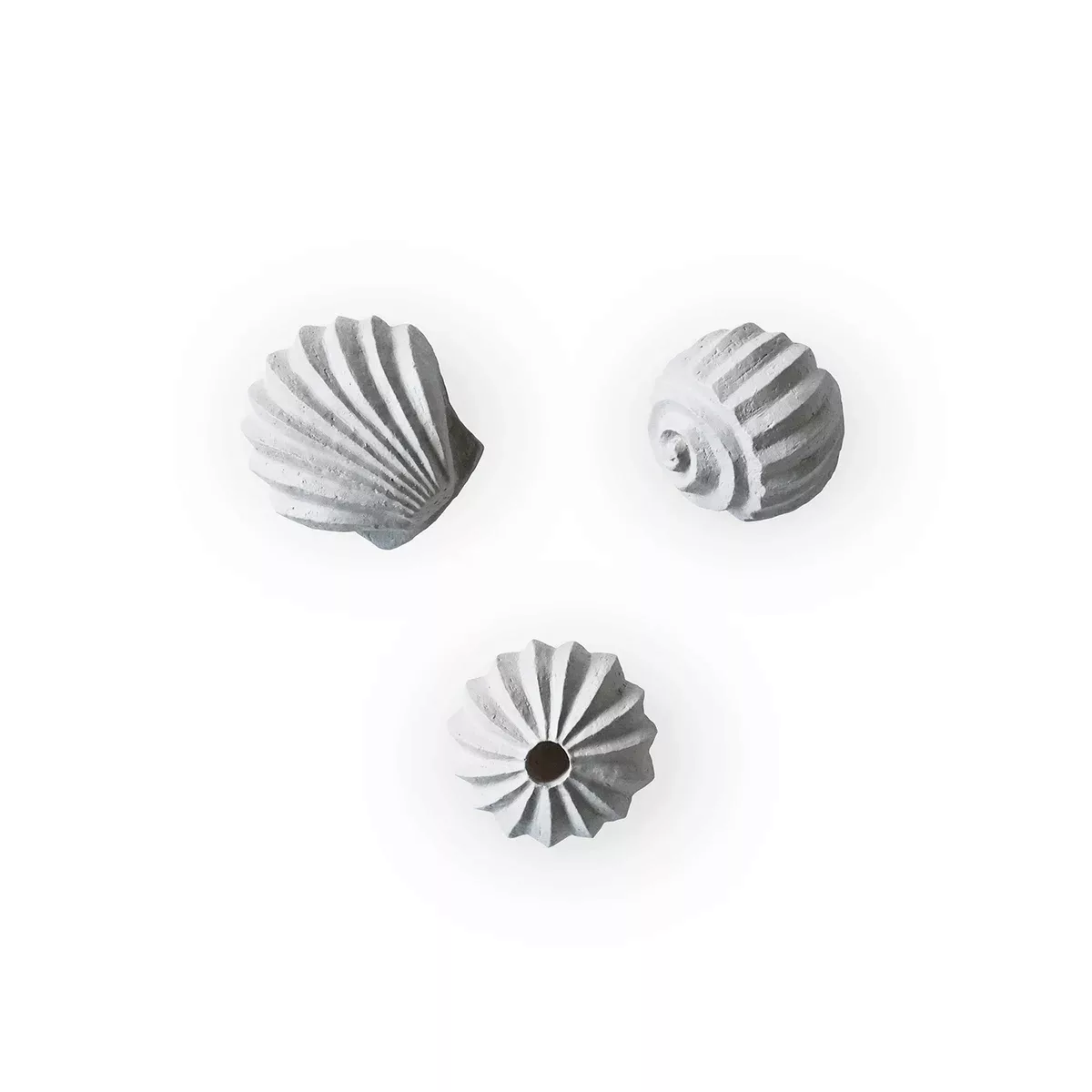 The Genesis Shells Skulptur 3er Pack Limestone günstig online kaufen