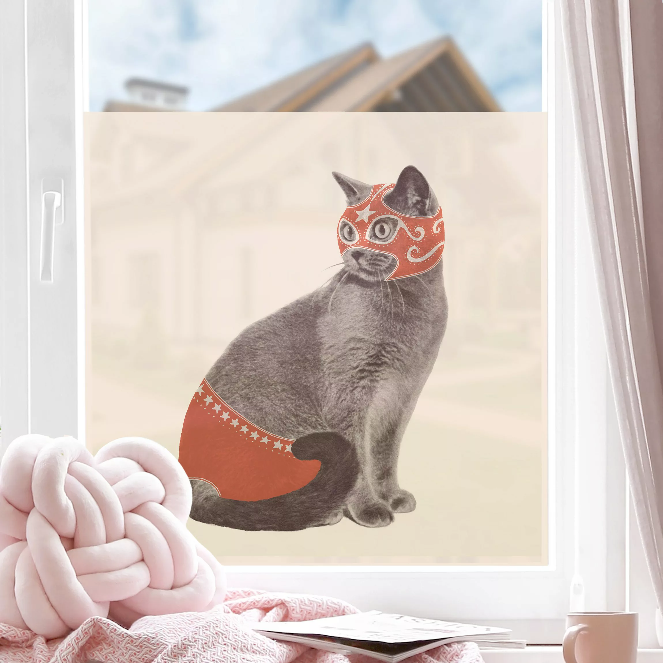 Fensterfolie Wrestling Cat günstig online kaufen