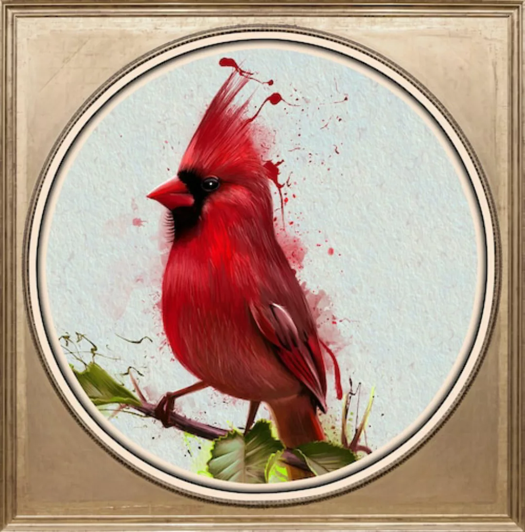 queence Acrylglasbild "Roter Vogel" günstig online kaufen