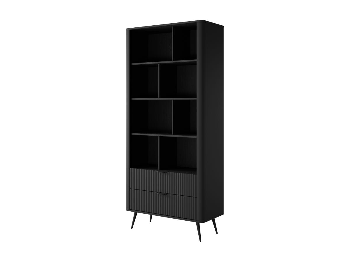 Wohnwand mit 2 Schubladen & 8 Fächern - MDF - Schwarz - ELONARIA II von Pas günstig online kaufen