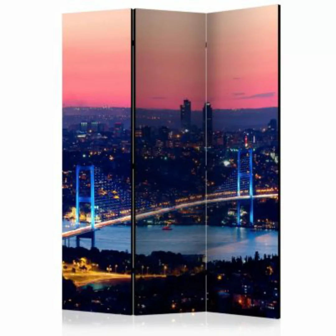 artgeist Paravent Bosphorus Bridge [Room Dividers] mehrfarbig Gr. 135 x 172 günstig online kaufen