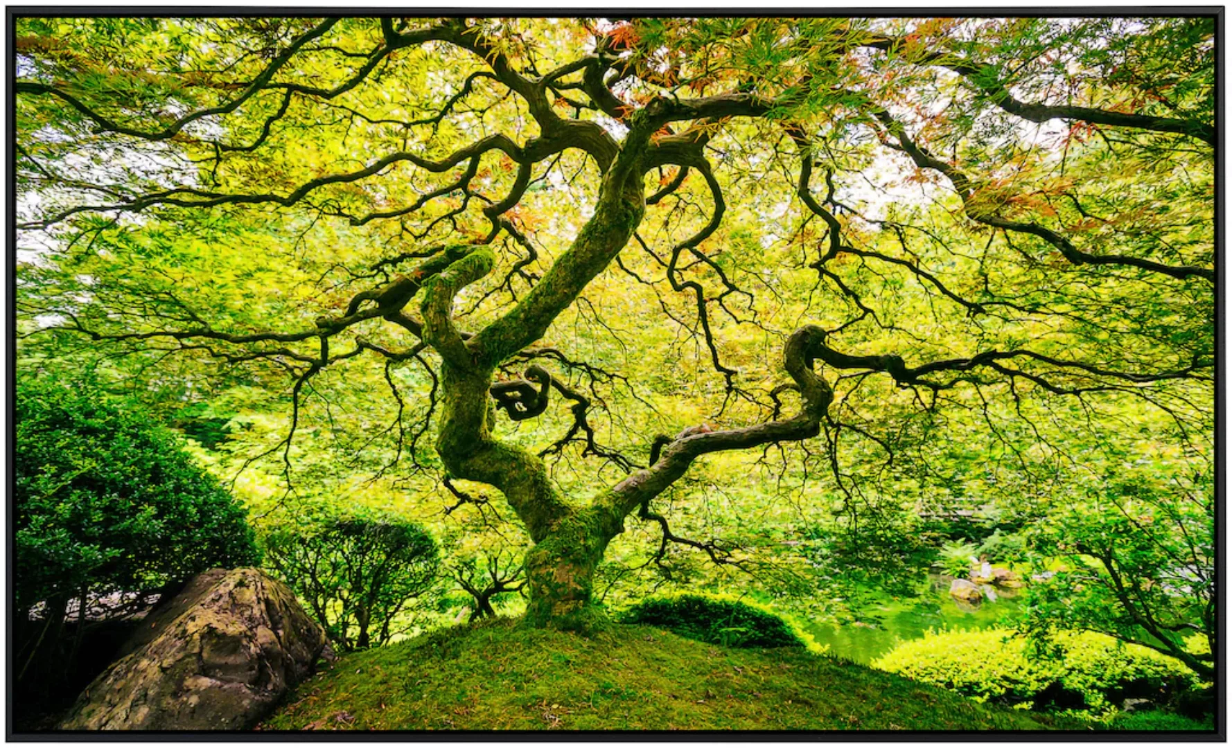 Papermoon Infrarotheizung »Japanischer Ahornbaum« günstig online kaufen