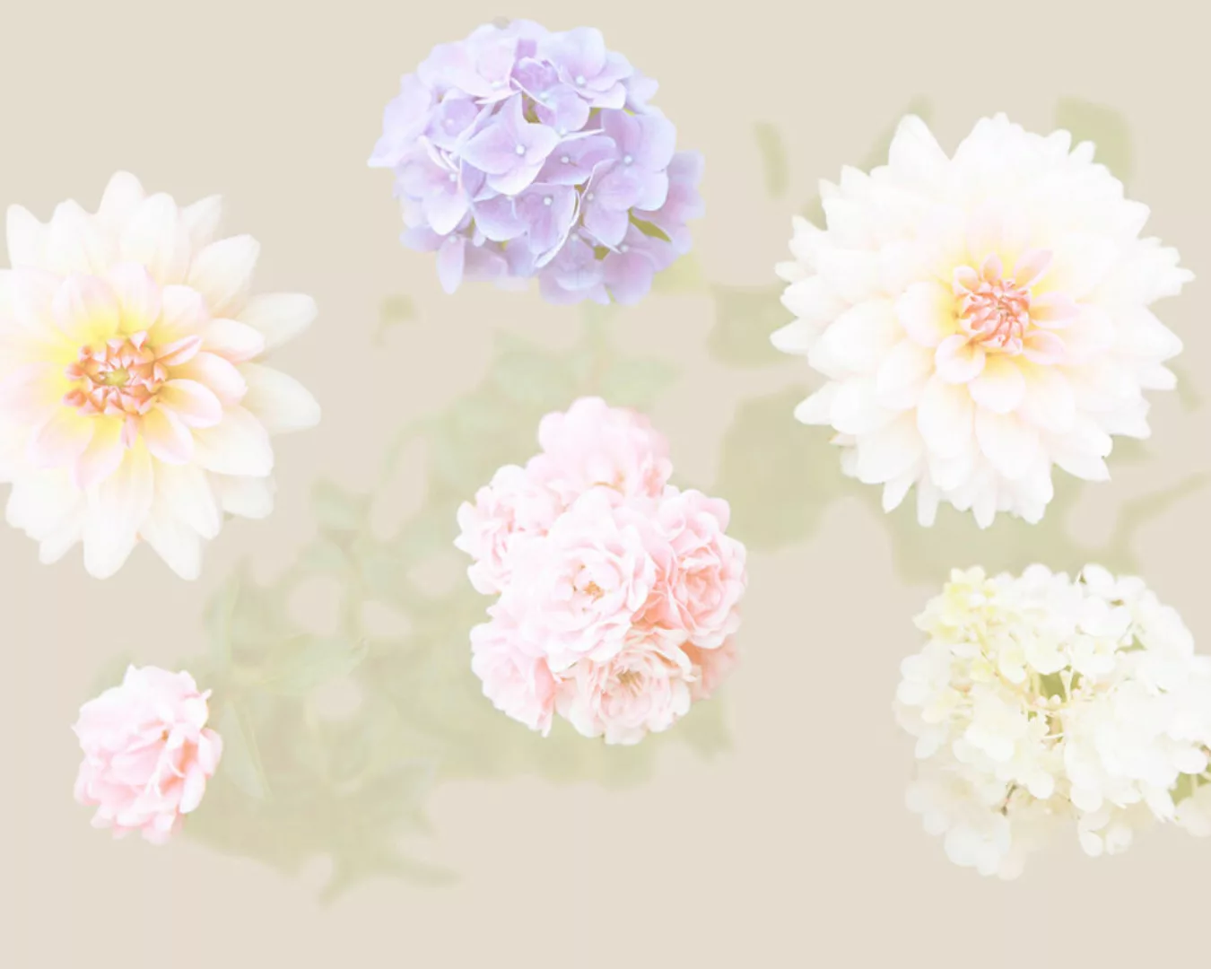 Fototapete "Blumen in Rosa und Lila" 4,00x2,50 m / Glattvlies Brillant günstig online kaufen