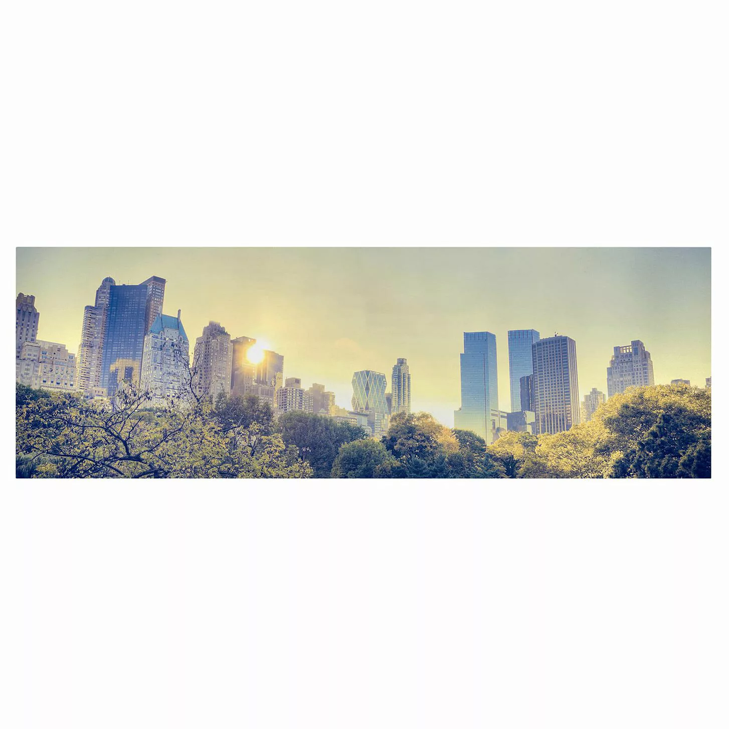 Leinwandbild New York - Panorama Peaceful Central Park günstig online kaufen
