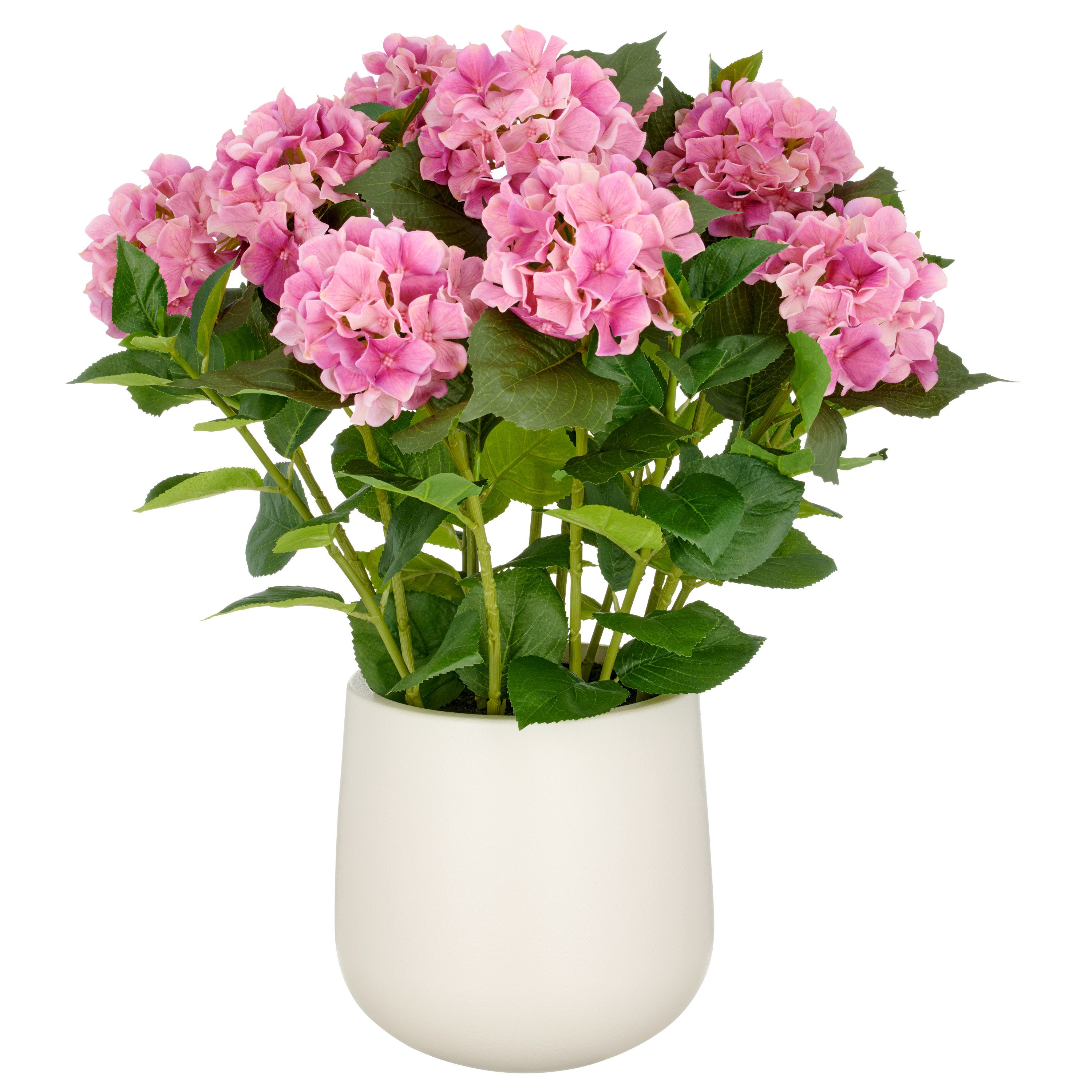 Kunstpflanze Hortensie, Creativ green, Höhe 70 günstig online kaufen