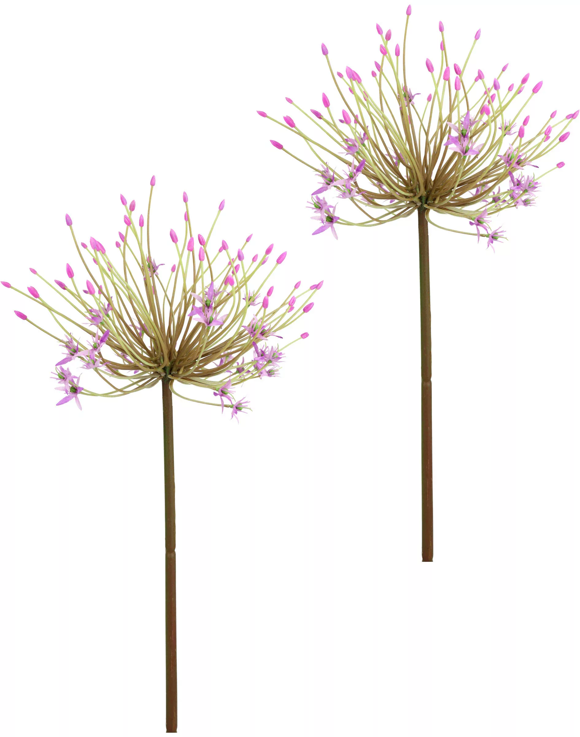 I.GE.A. Kunstblume "Allium Zierlauch", Stielblume künstliche Blumen, 2er Se günstig online kaufen