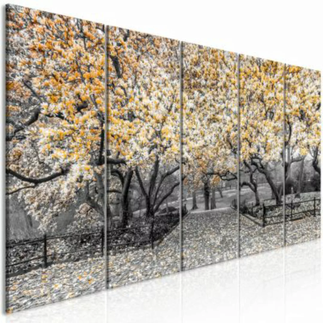 artgeist Wandbild Magnolia Park (5 Parts) Narrow Orange orange-kombi Gr. 20 günstig online kaufen