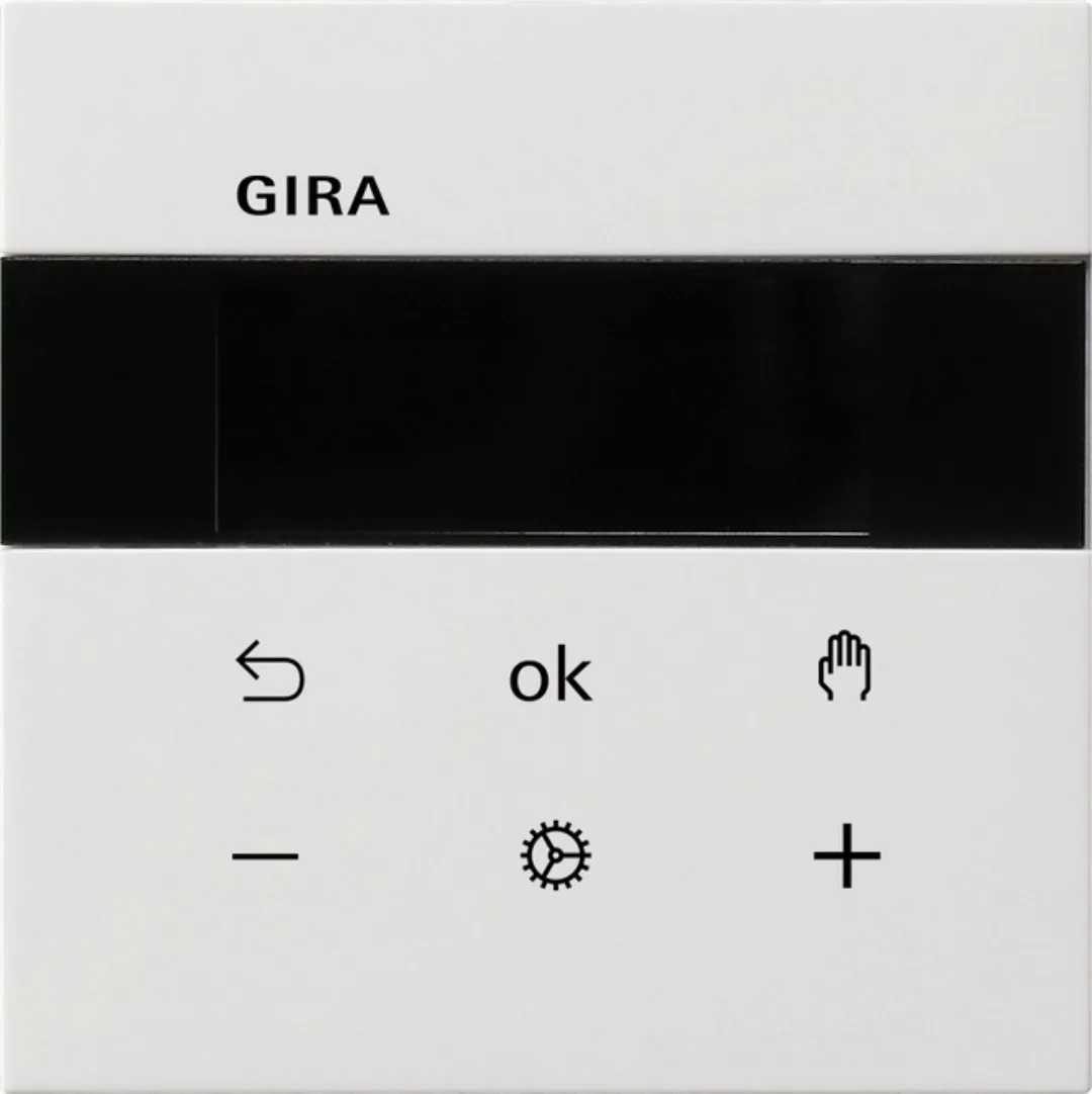Gira RTR Display rws 5393112 günstig online kaufen