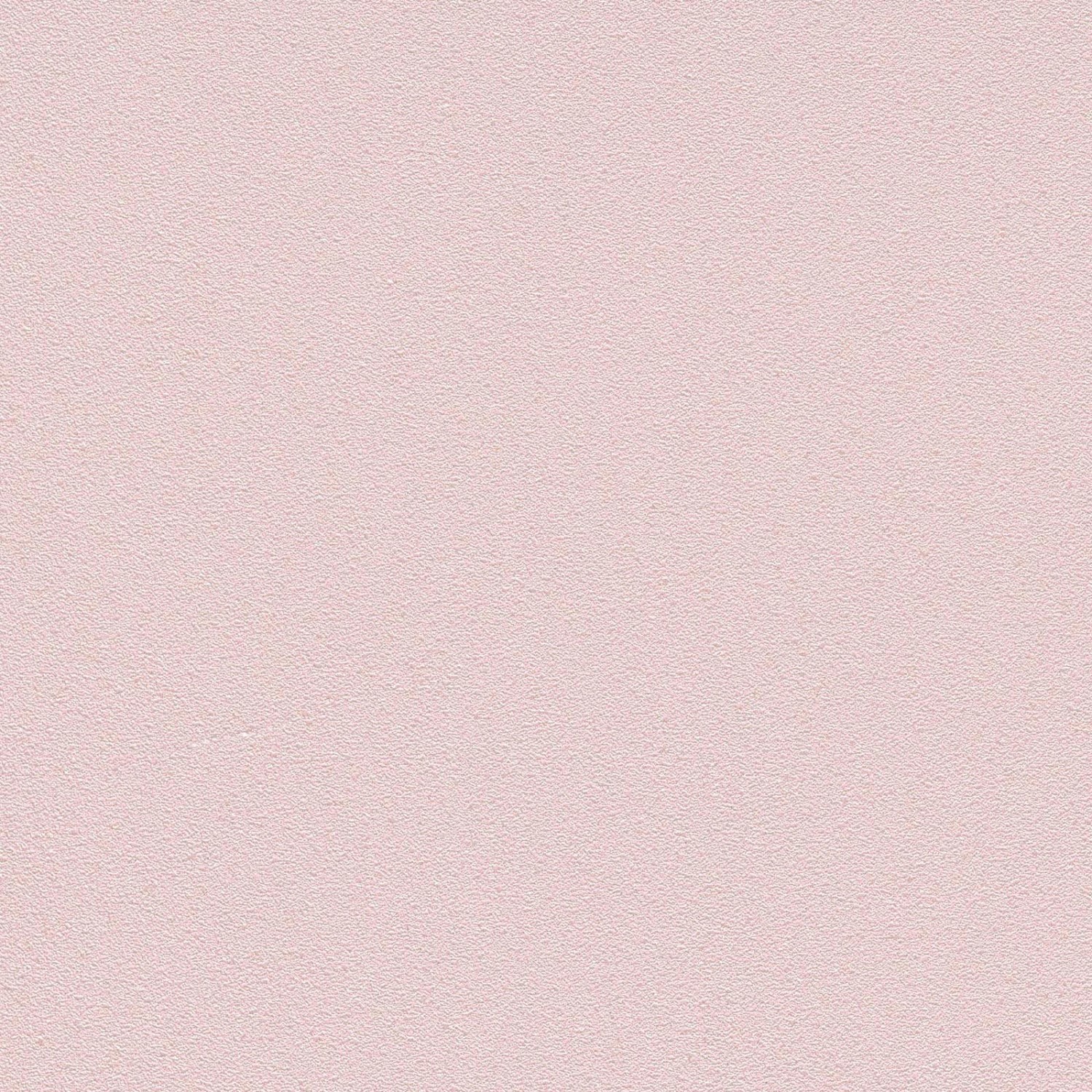 Bricoflor Rosa Tapete Schlicht Einfarbige Vliestapete in Pastell Rosa Ideal günstig online kaufen