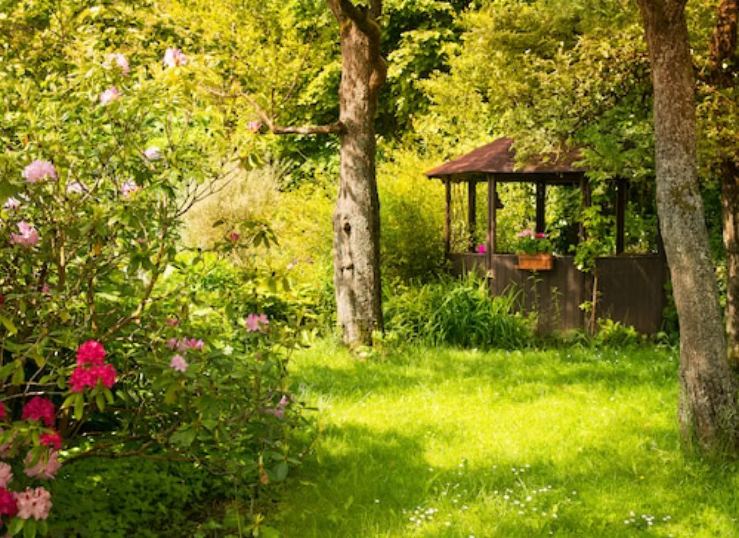 Papermoon Fototapete »Magic Garden« günstig online kaufen