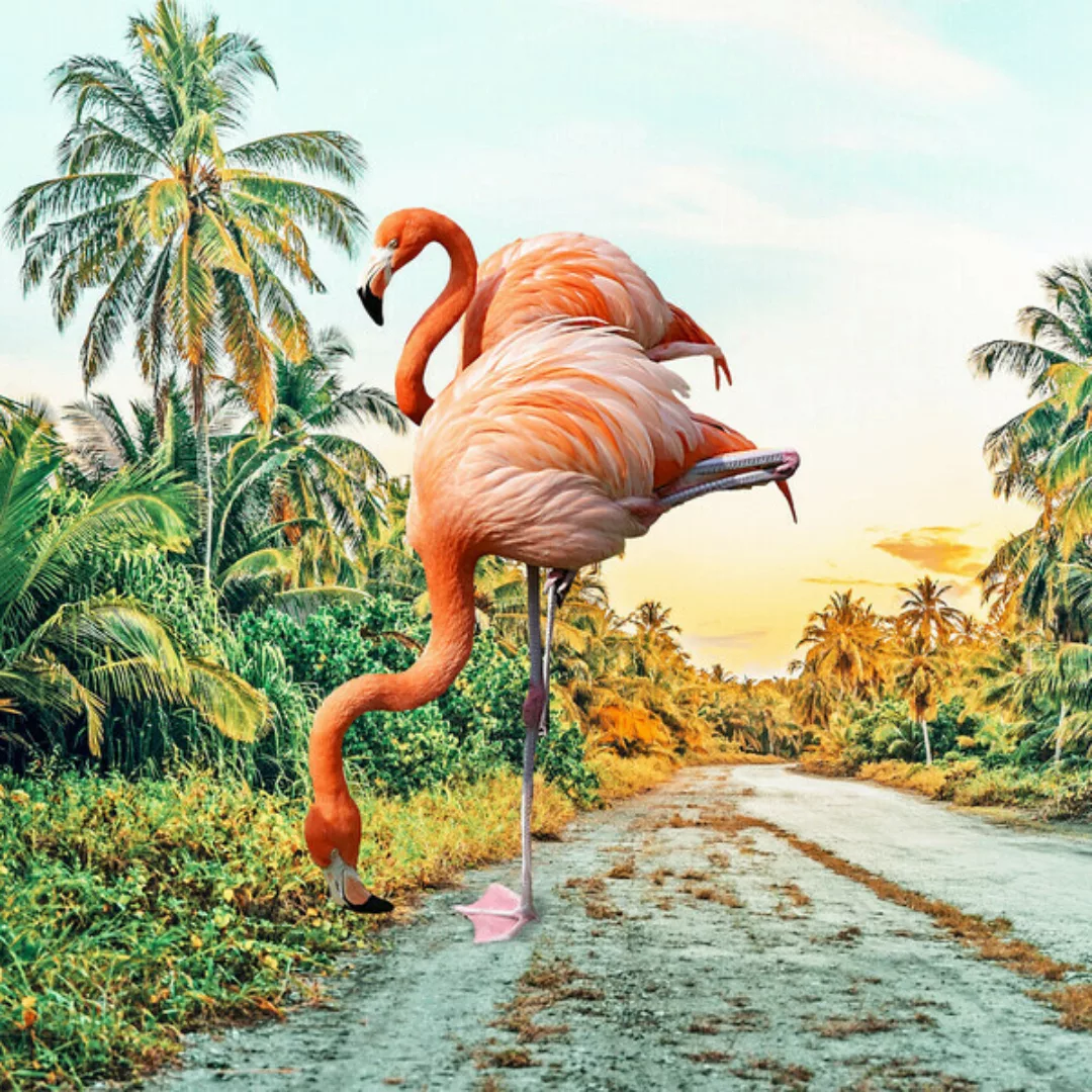 Poster / Leinwandbild - Flamingo Vacay günstig online kaufen
