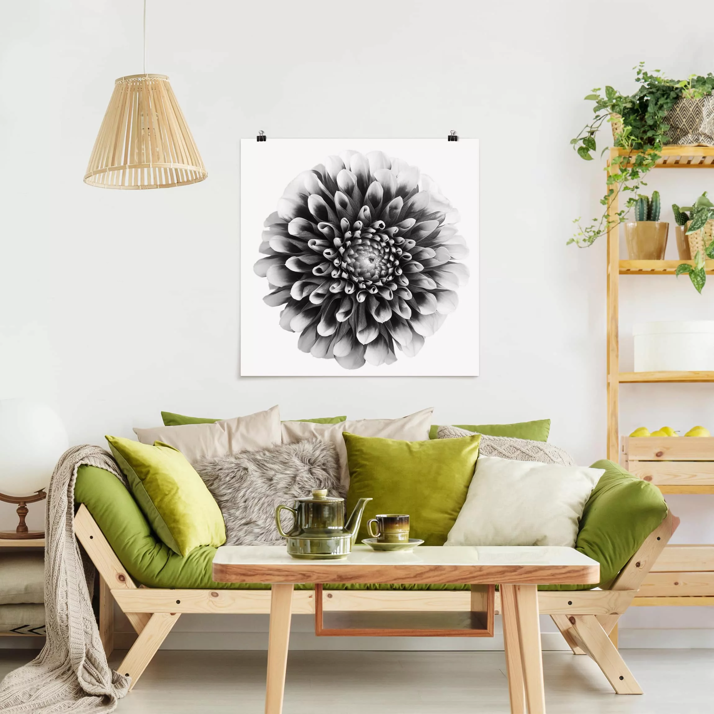 Poster Blumen - Quadrat Aster II günstig online kaufen