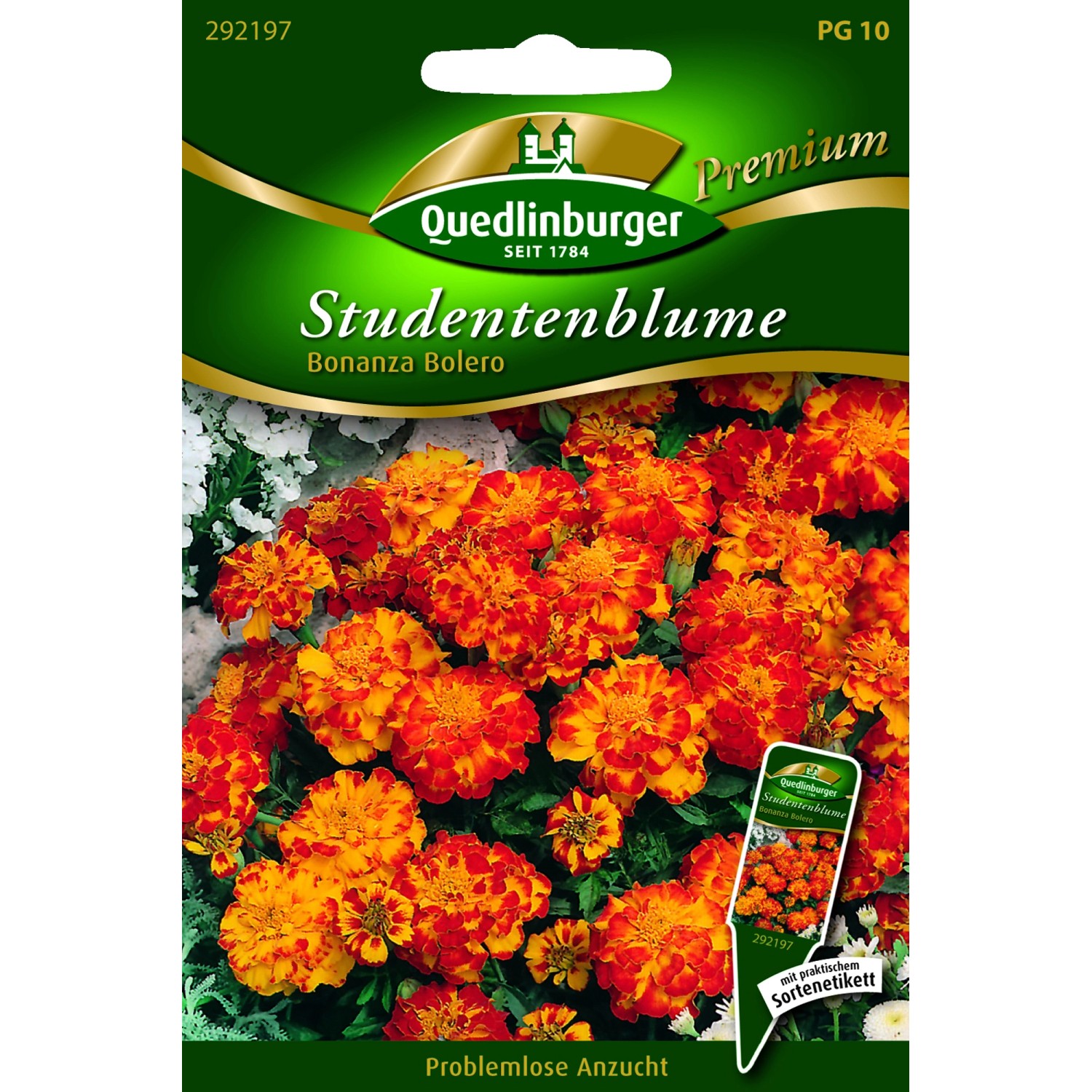 Quedlinburger Studentenblumen ''Bonanza Bolero'' günstig online kaufen