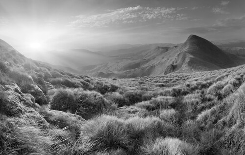 Papermoon Fototapete »Landschaft Schwarz & Weiß« günstig online kaufen