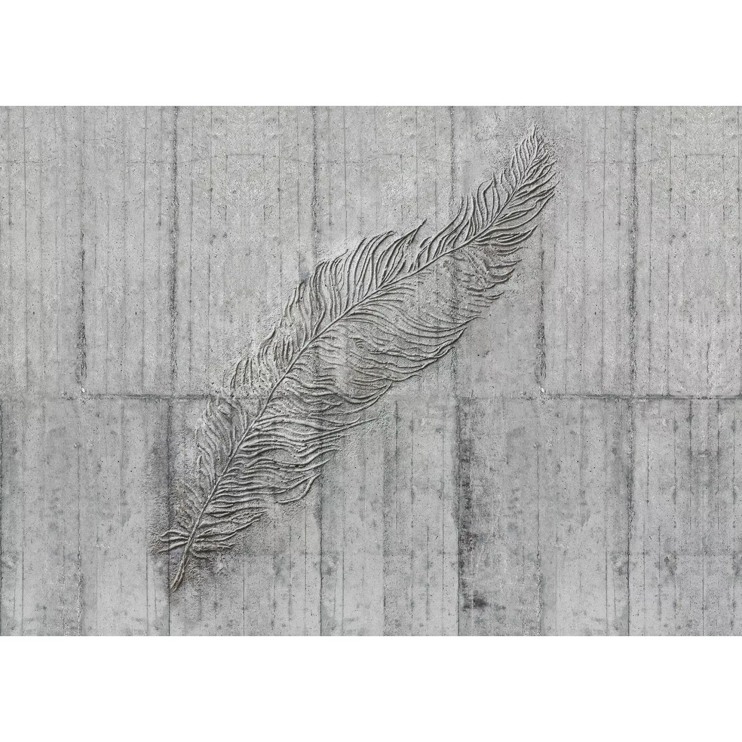 KOMAR Vlies Fototapete - Concrete Feather  - Größe 350 x 250 cm mehrfarbig günstig online kaufen