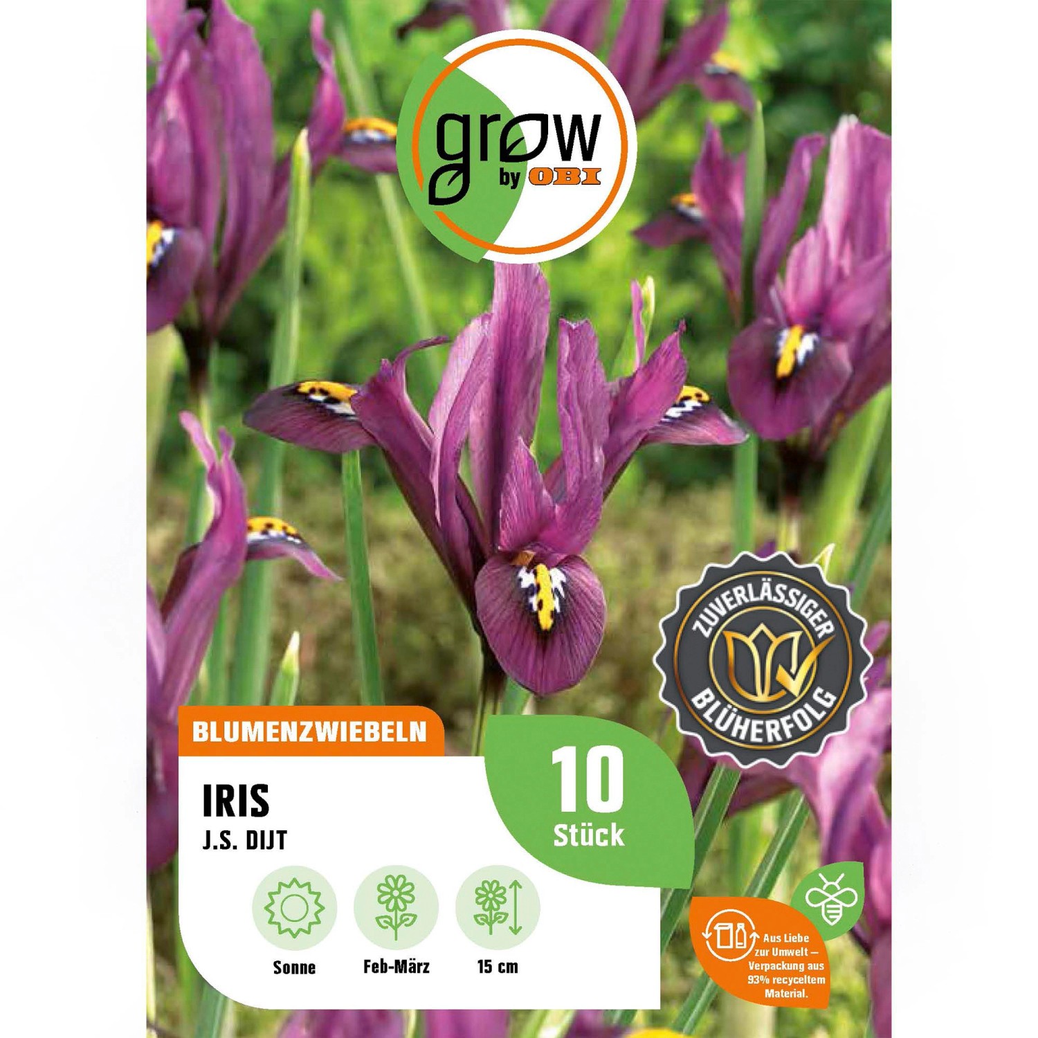 GROW by OBI Schwertlilie J.S. Dijt Purple 10 Stück Iris reticulata Purple H günstig online kaufen