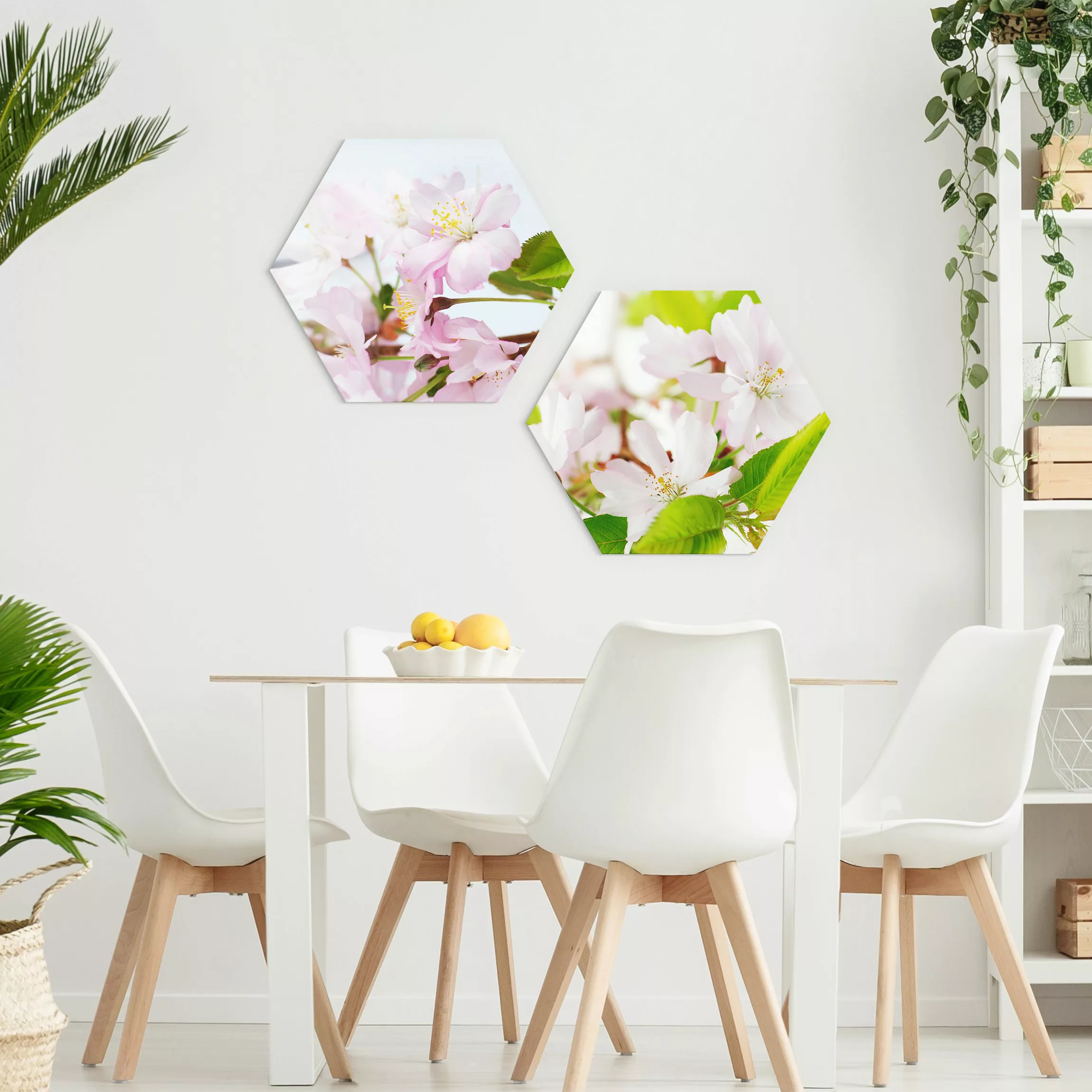 2-teiliges Hexagon-Alu-Dibond Bild Zierkirsche mit Blüten günstig online kaufen