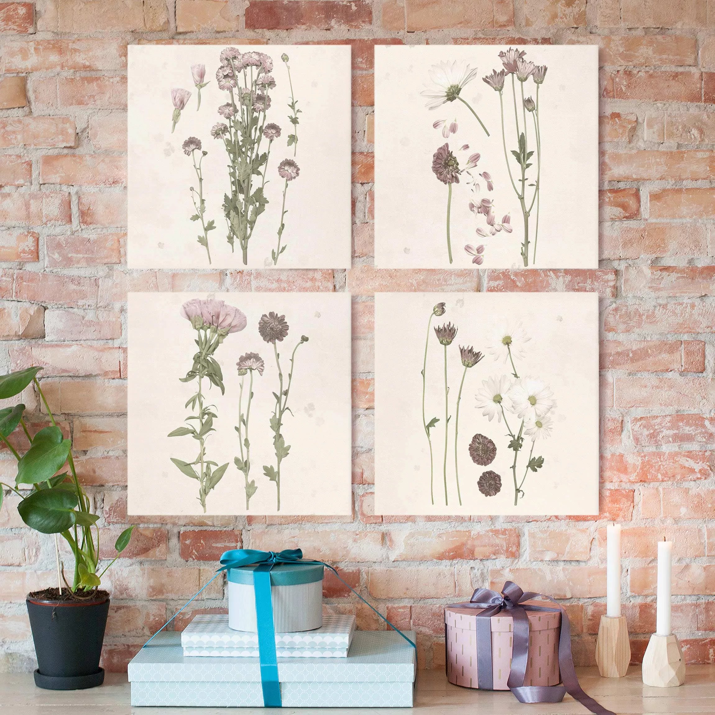 4-teiliges Leinwandbild Botanik - Quadrat Herbarium in rosa Set I günstig online kaufen