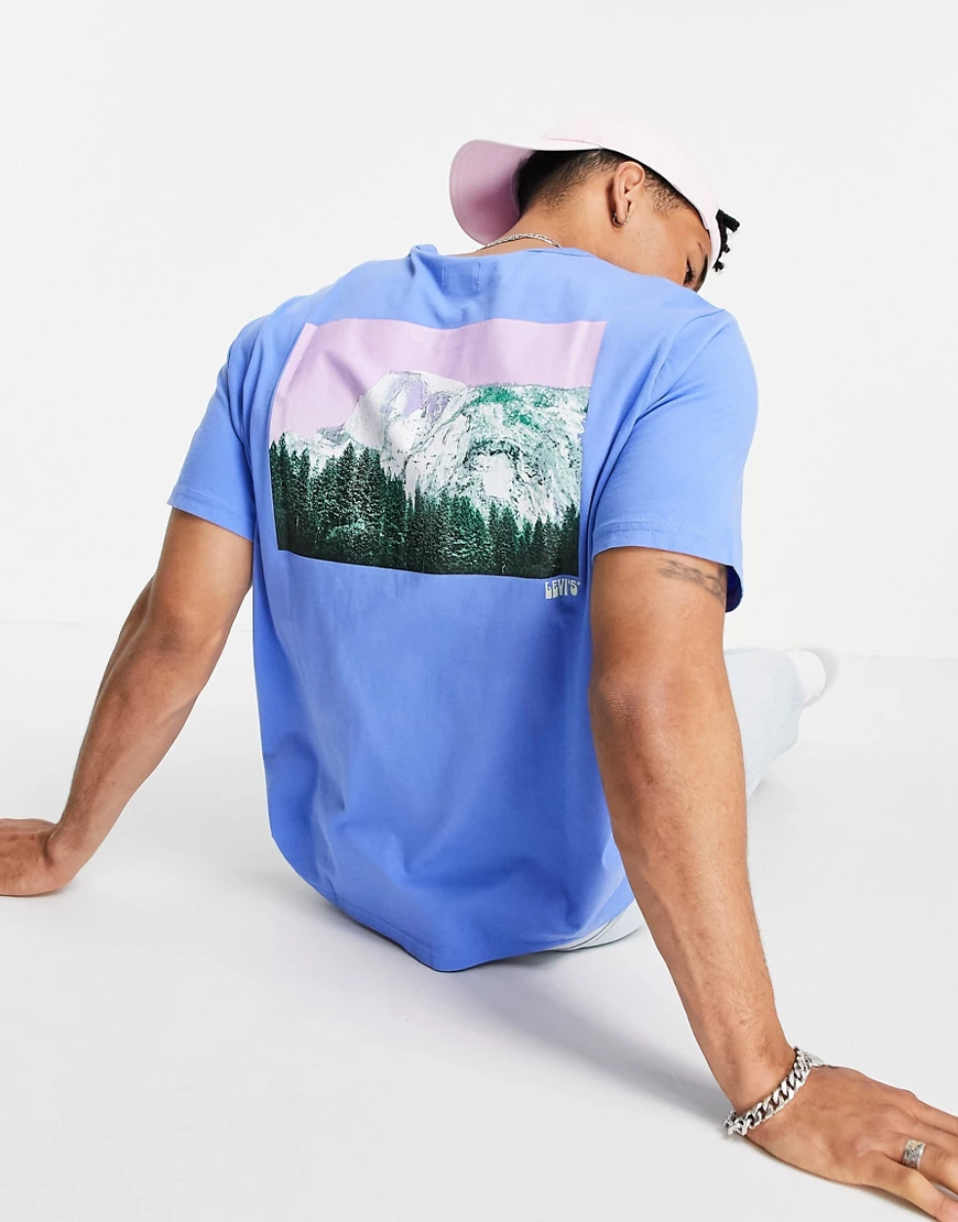 Levi's Skateboarding – Yosemite – T-Shirt mit rundem Logo in Ultramarinblau günstig online kaufen