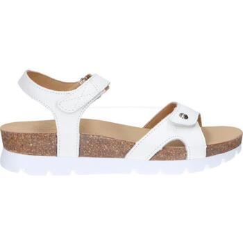 Panama Jack  Sandalen SULIA BASICS B1 günstig online kaufen