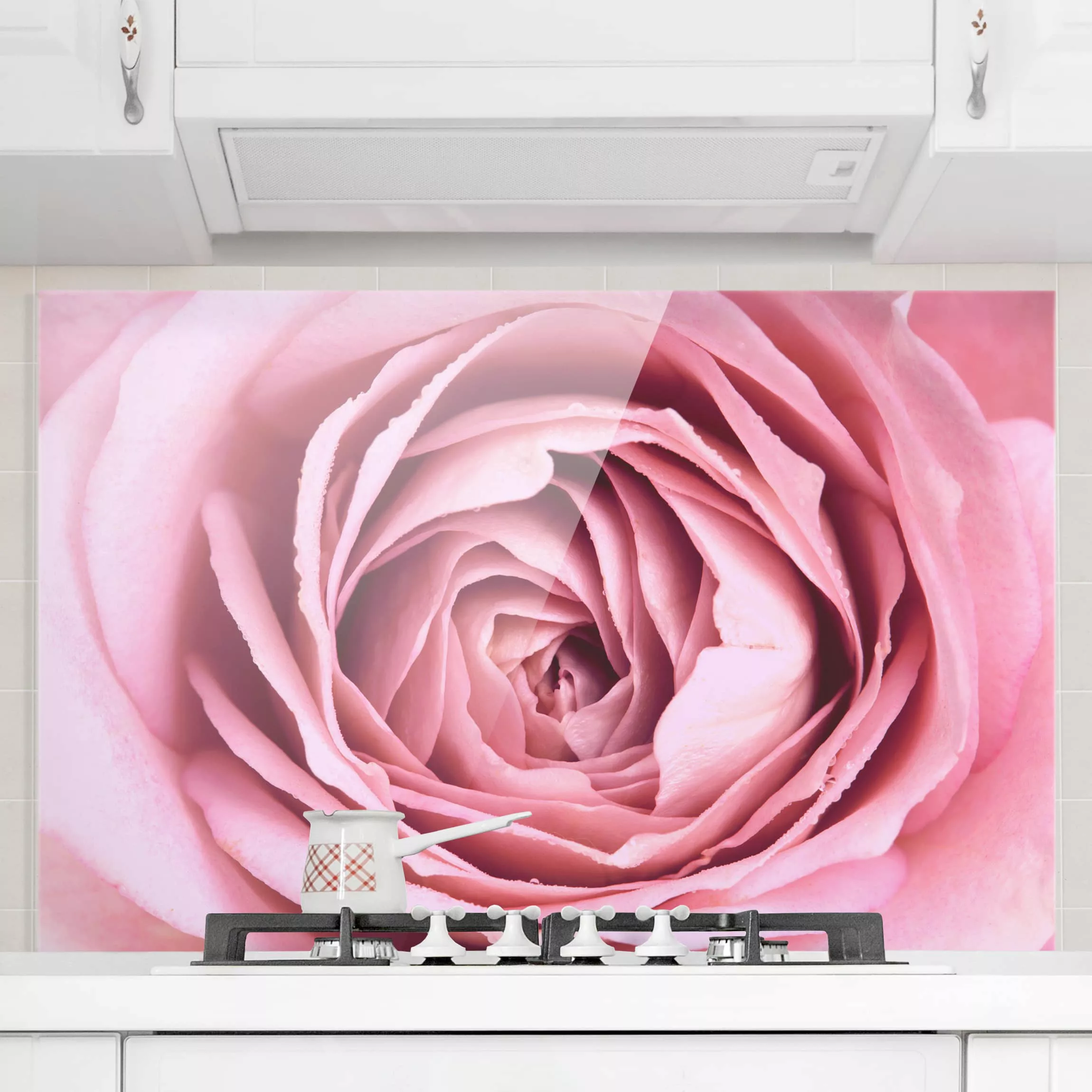 Glas Spritzschutz Blumen - Querformat 3:2 Rosa Rosenblüte günstig online kaufen