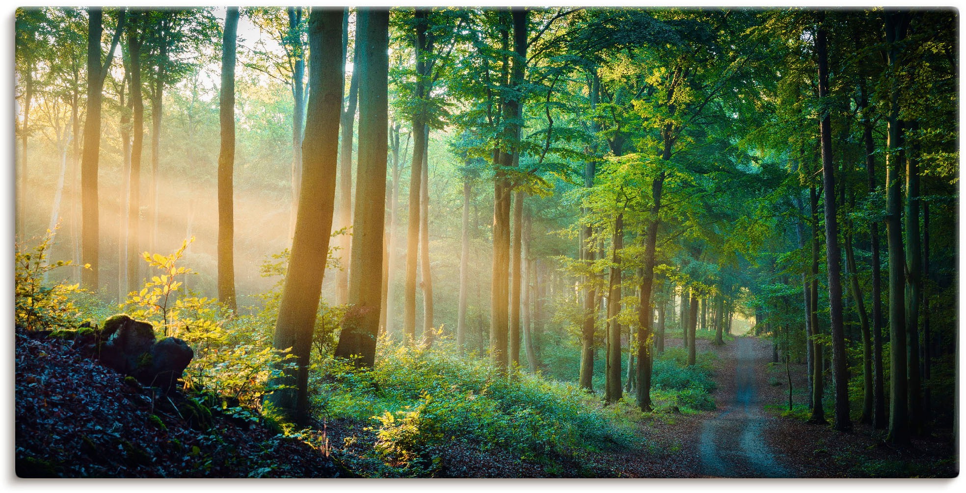 Artland Wandbild »Herbstmorgen im Wald«, Waldbilder, (1 St.), als Alubild, günstig online kaufen