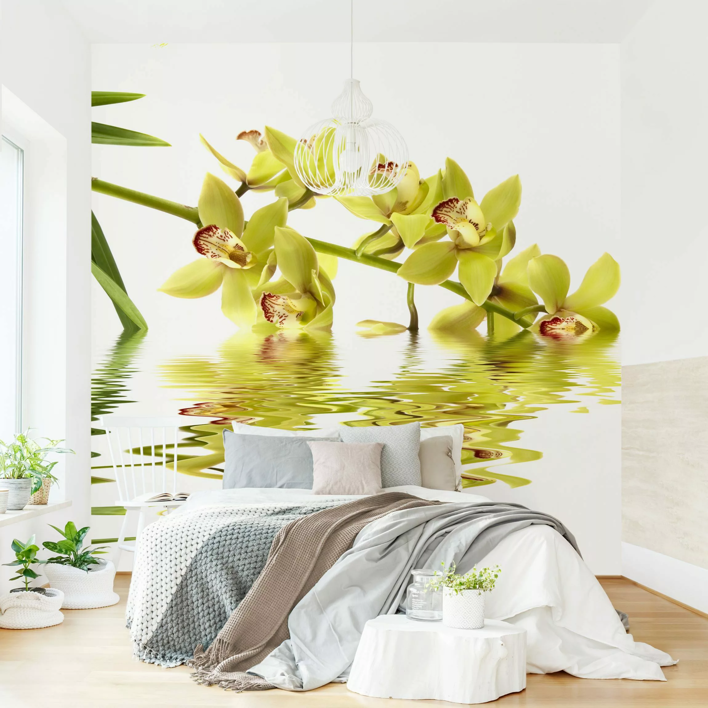 Fototapete Elegant Orchid Waters günstig online kaufen