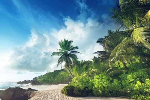 Papermoon Fototapete »PALMEN-STRAND-SEYCHELLEN TROPISCH INSEL AFRIKA KÜSTE« günstig online kaufen