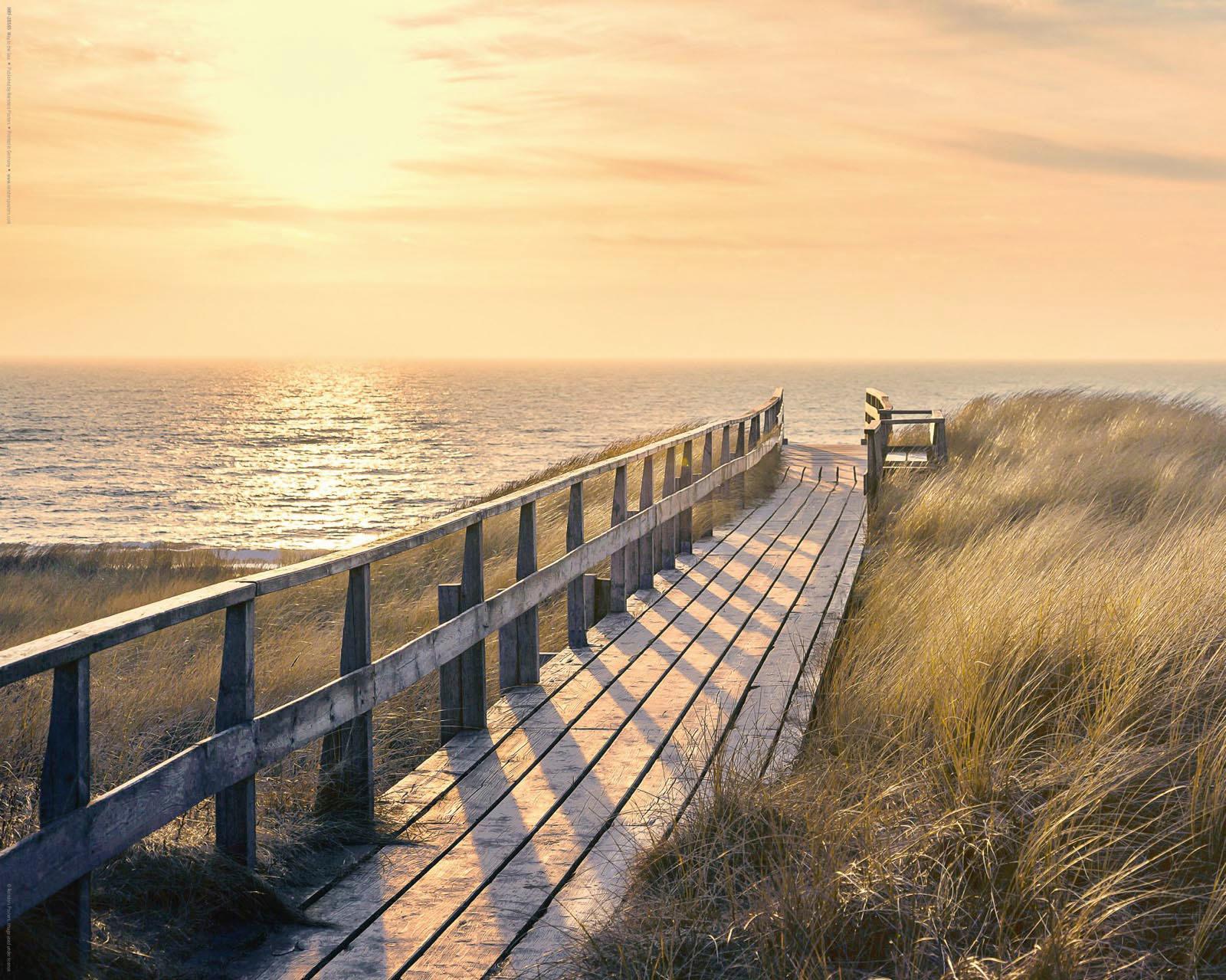 Reinders Deco-Panel "Strandweg" günstig online kaufen