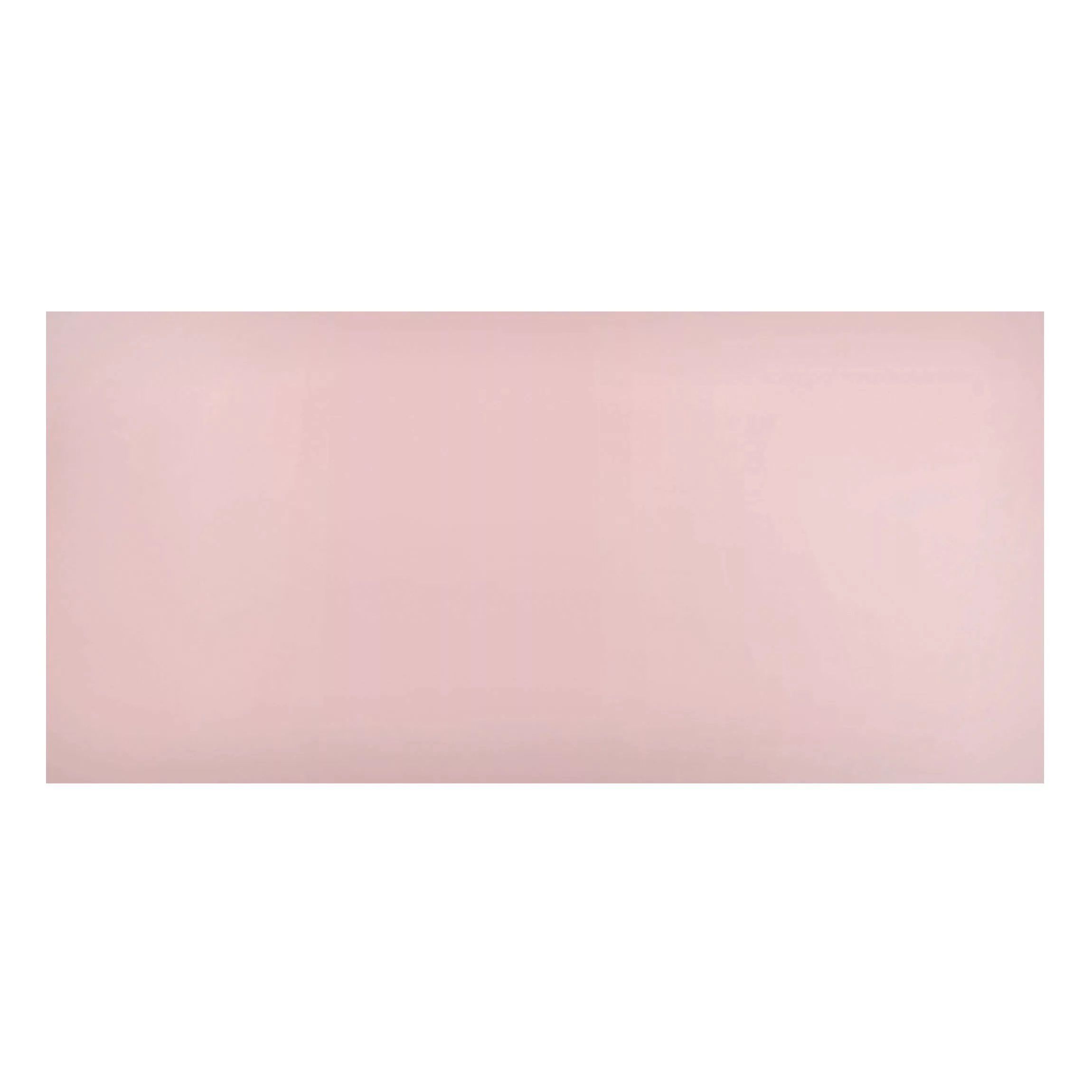 Magnettafel Unifarben - Querformat 2:1 Colour Rose günstig online kaufen